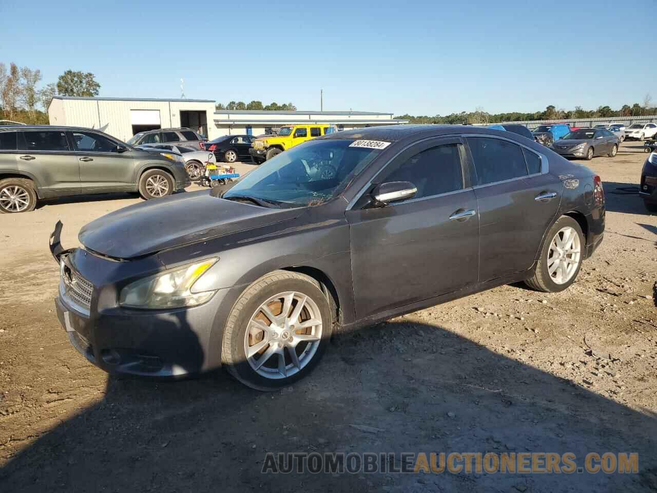 1N4AA5AP0BC842337 NISSAN MAXIMA 2011