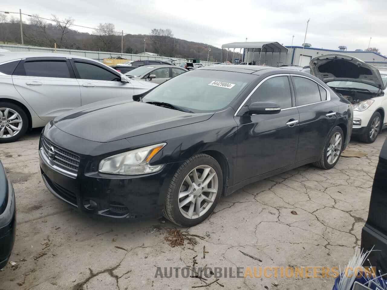 1N4AA5AP3BC801216 NISSAN MAXIMA 2011