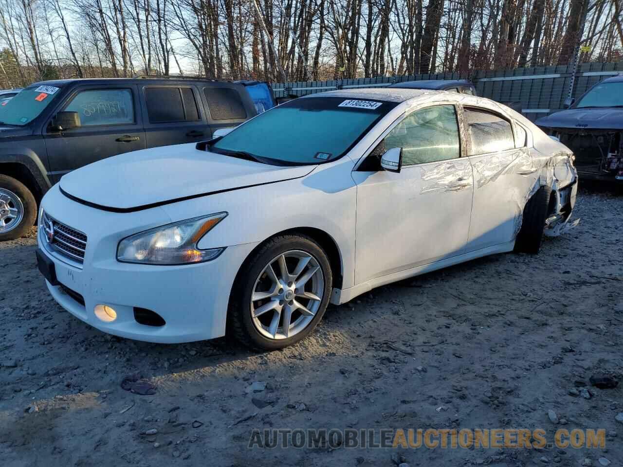 1N4AA5AP6BC829558 NISSAN MAXIMA 2011