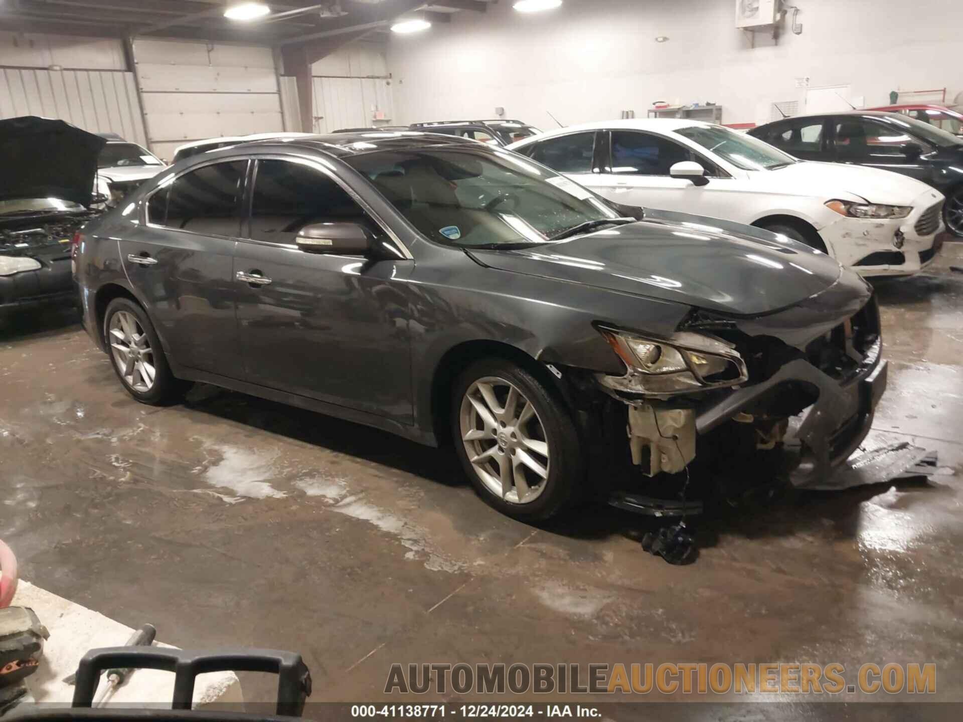 1N4AA5APXBC807241 NISSAN MAXIMA 2011