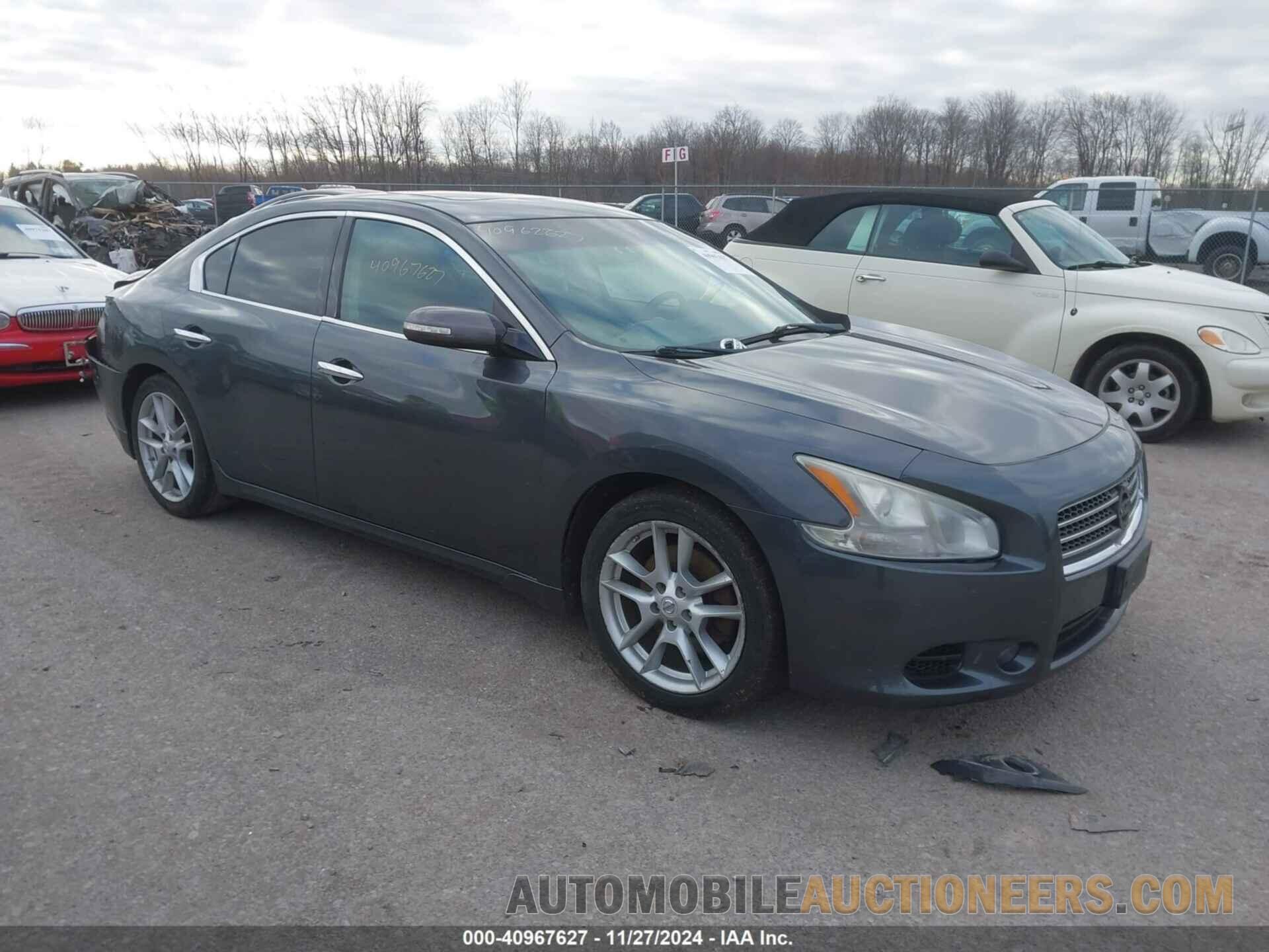 1N4AA5APXBC810091 NISSAN MAXIMA 2011