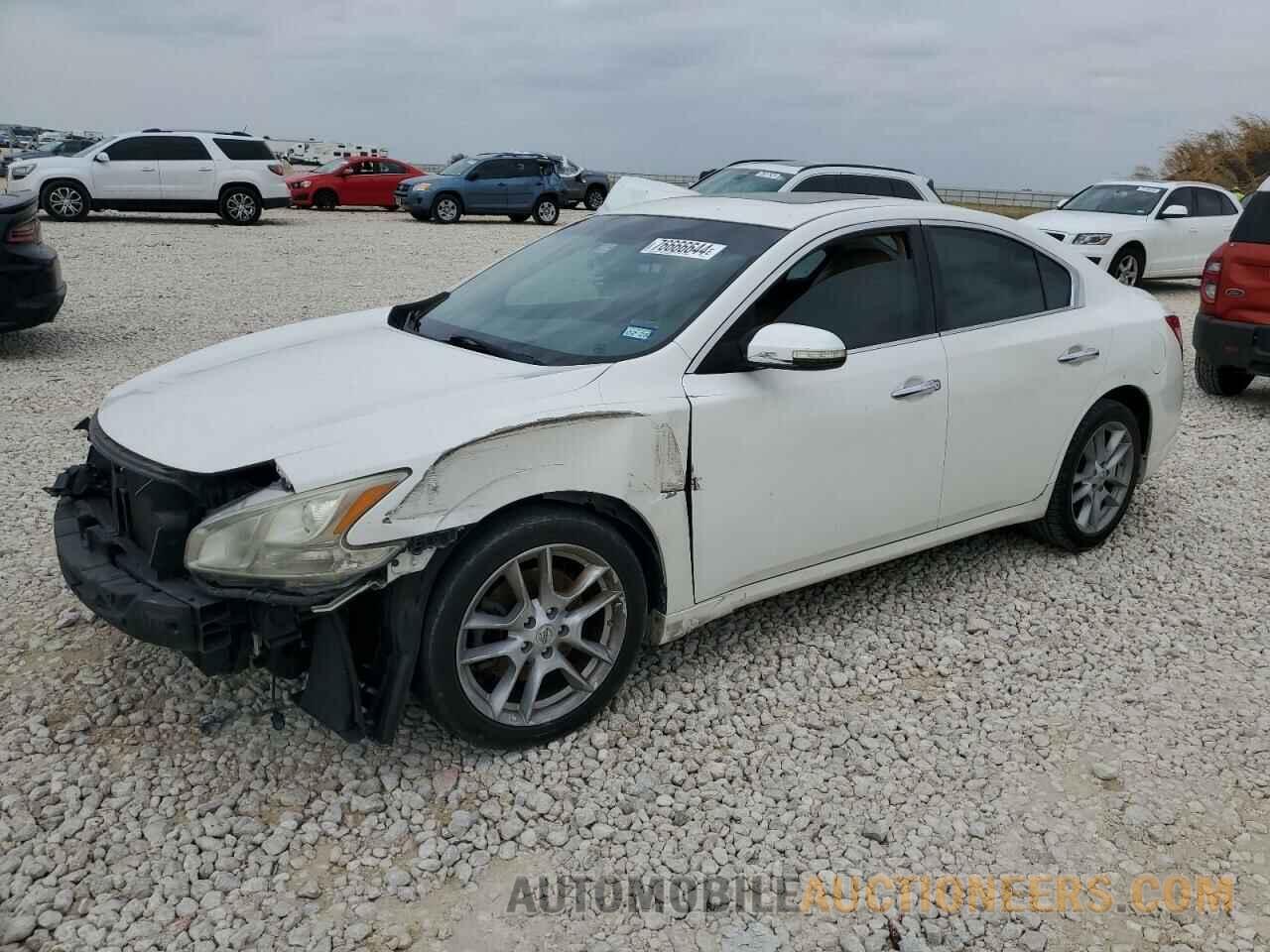 1N4AA5APXBC816604 NISSAN MAXIMA 2011