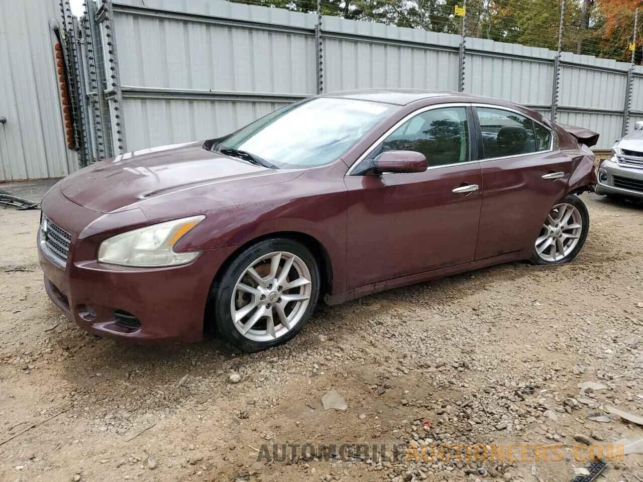 1N4AA5APXBC836156 NISSAN MAXIMA 2011