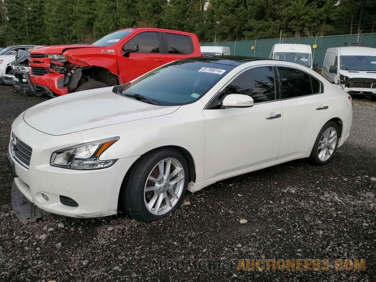 1N4AA5APXBC865396 NISSAN MAXIMA 2011