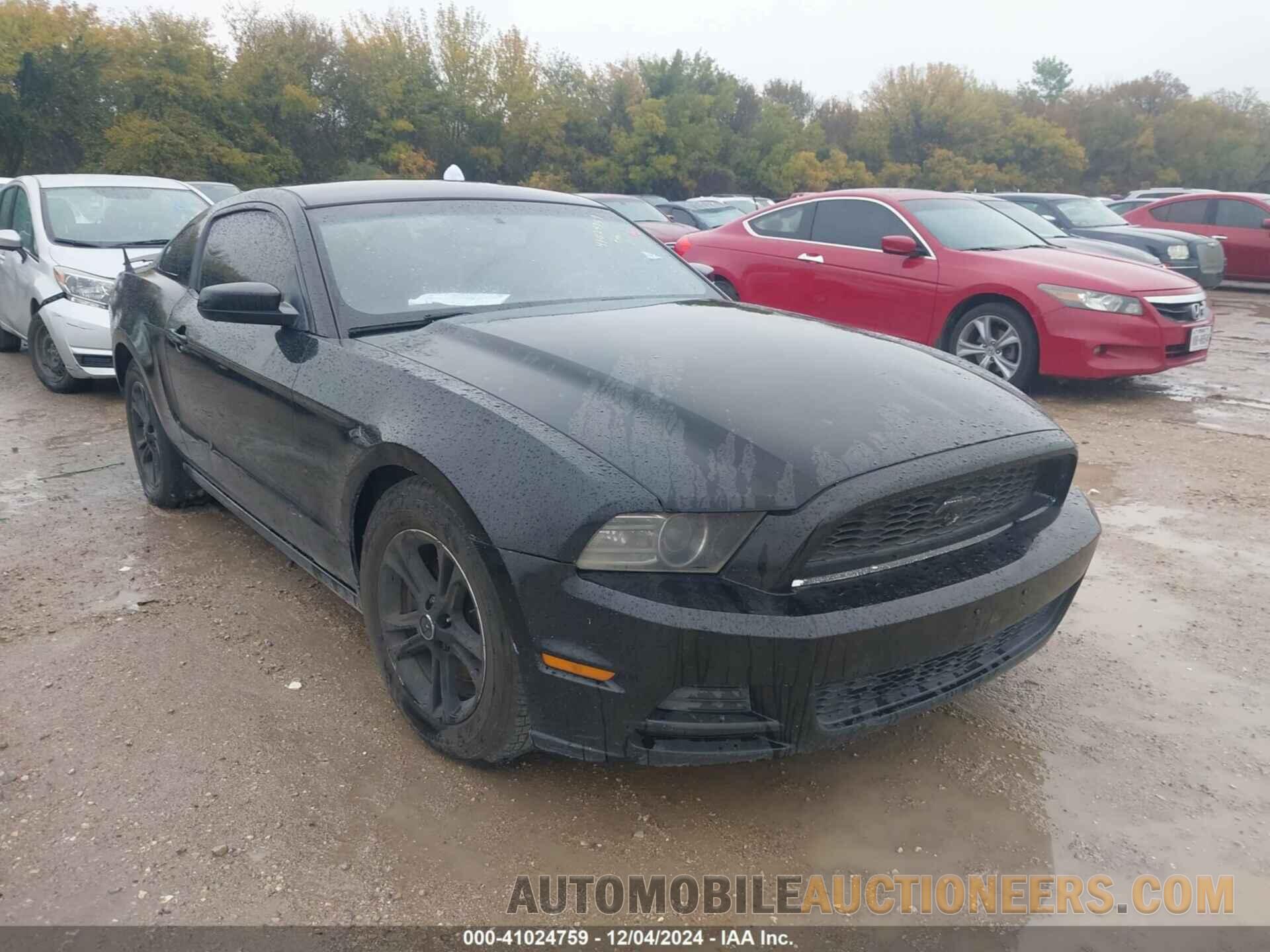 1ZVBP8AM1E5236555 FORD MUSTANG 2014