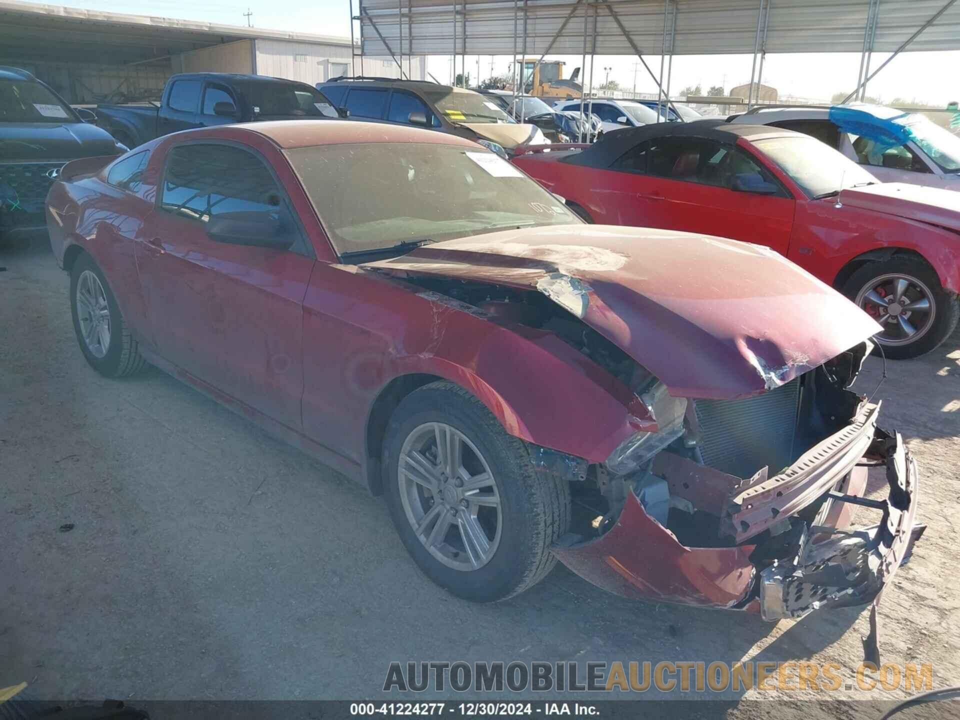 1ZVBP8AM3E5217196 FORD MUSTANG 2014