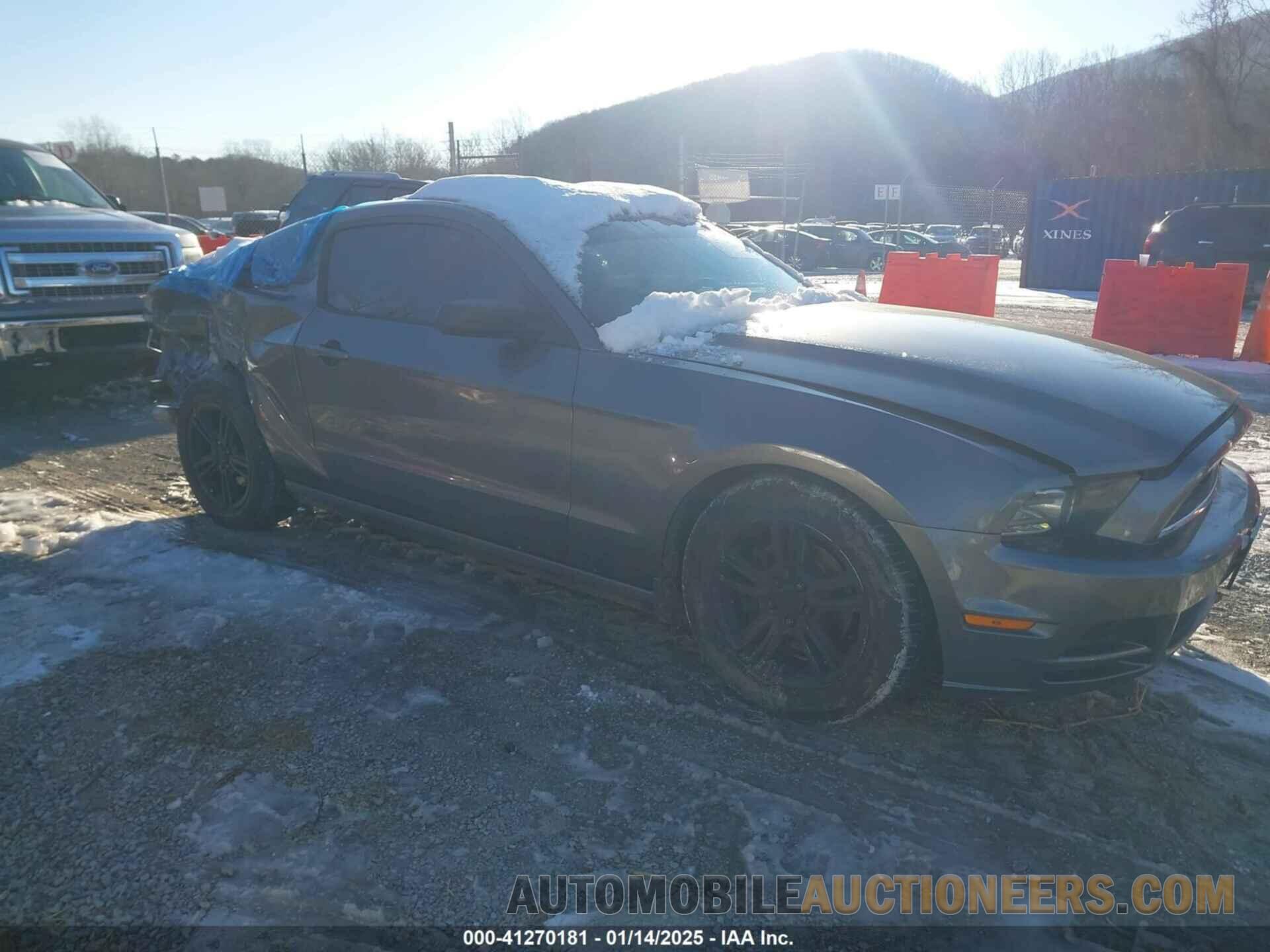 1ZVBP8AM3E5231034 FORD MUSTANG 2014