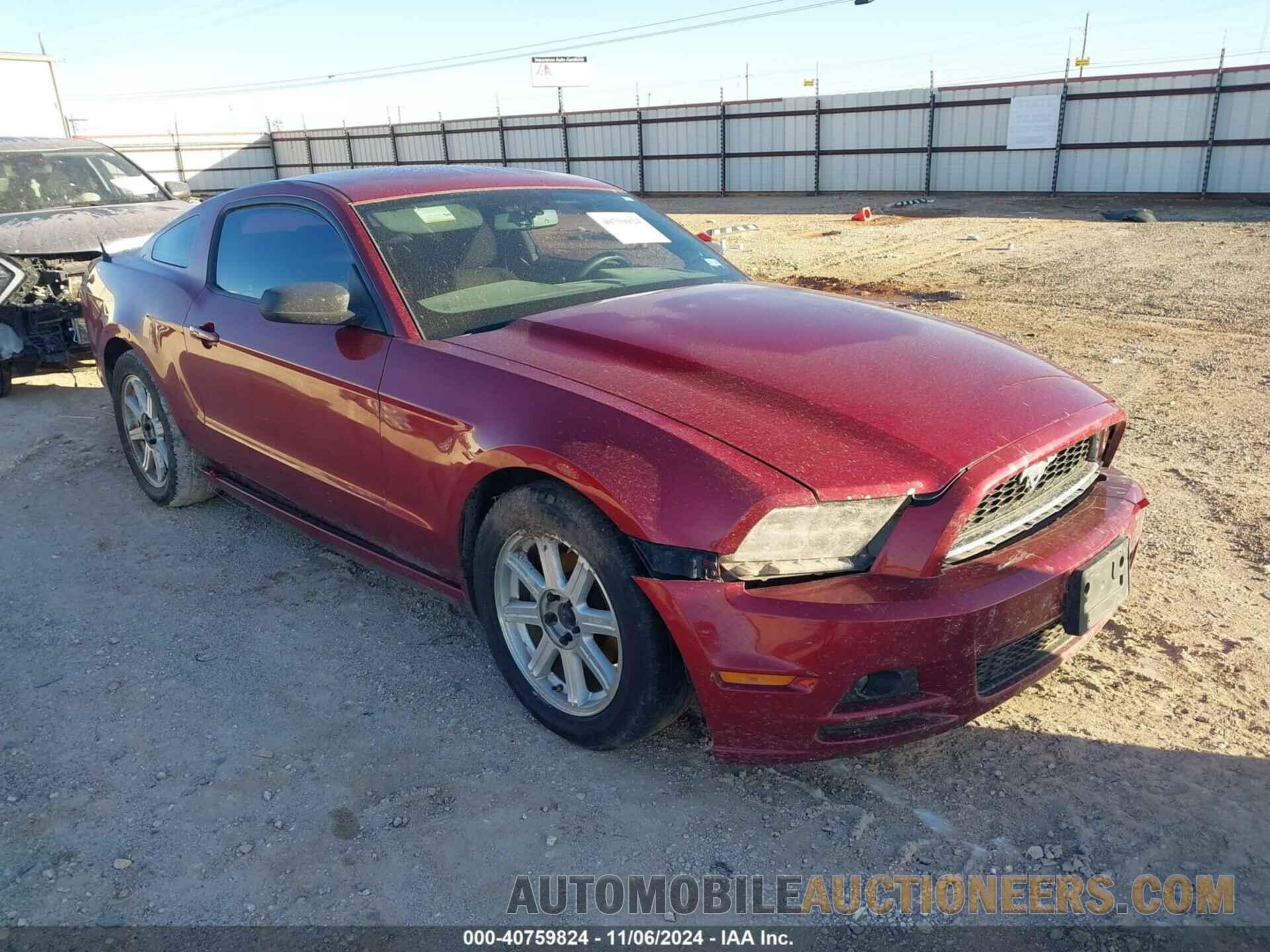 1ZVBP8AM3E5284414 FORD MUSTANG 2014