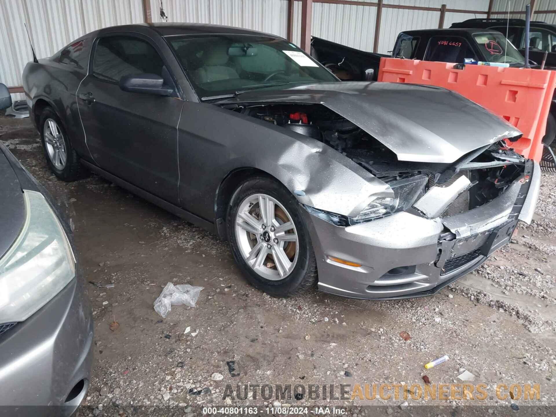 1ZVBP8AM3E5332042 FORD MUSTANG 2014