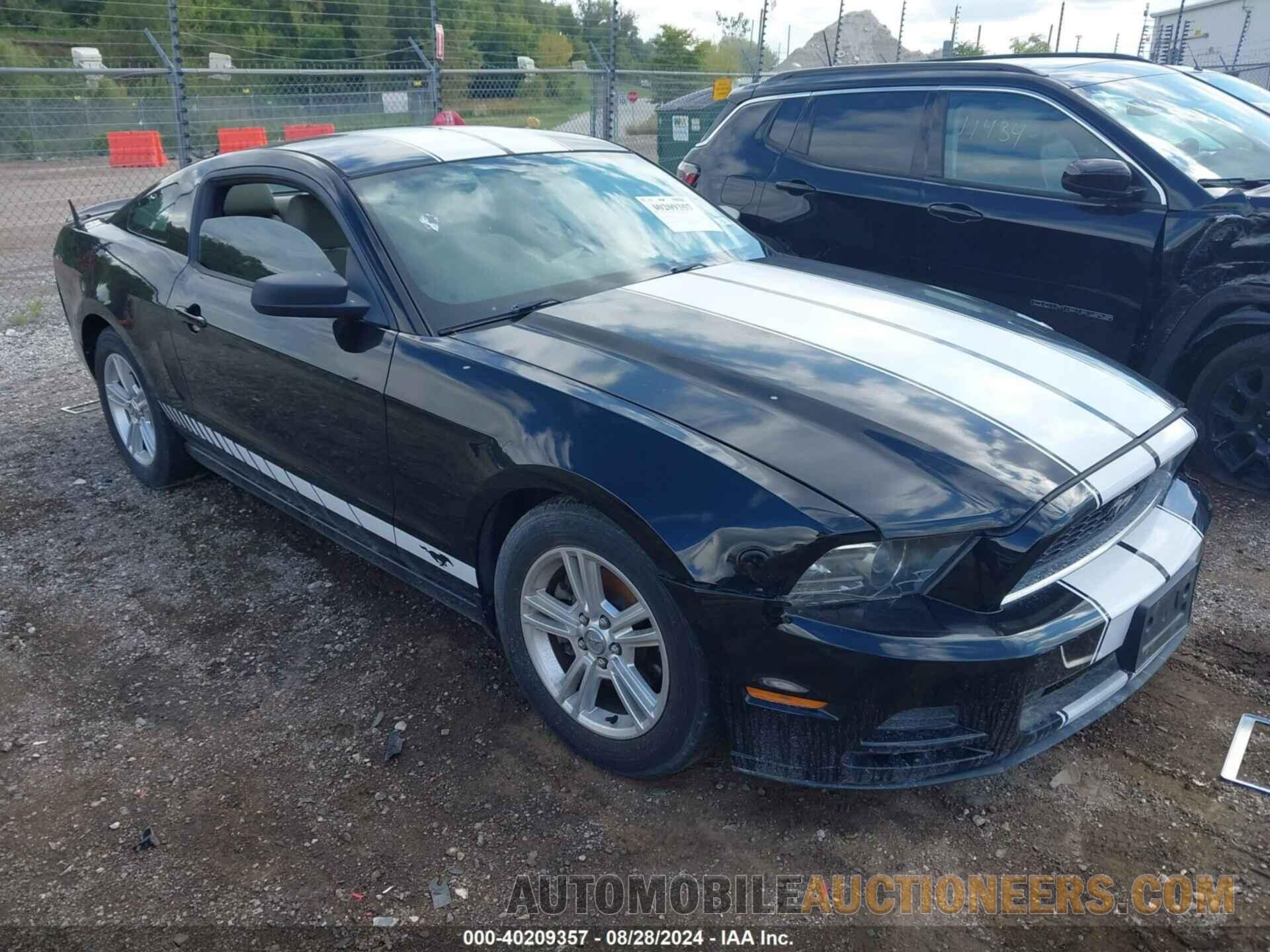 1ZVBP8AM6D5207812 FORD MUSTANG 2013