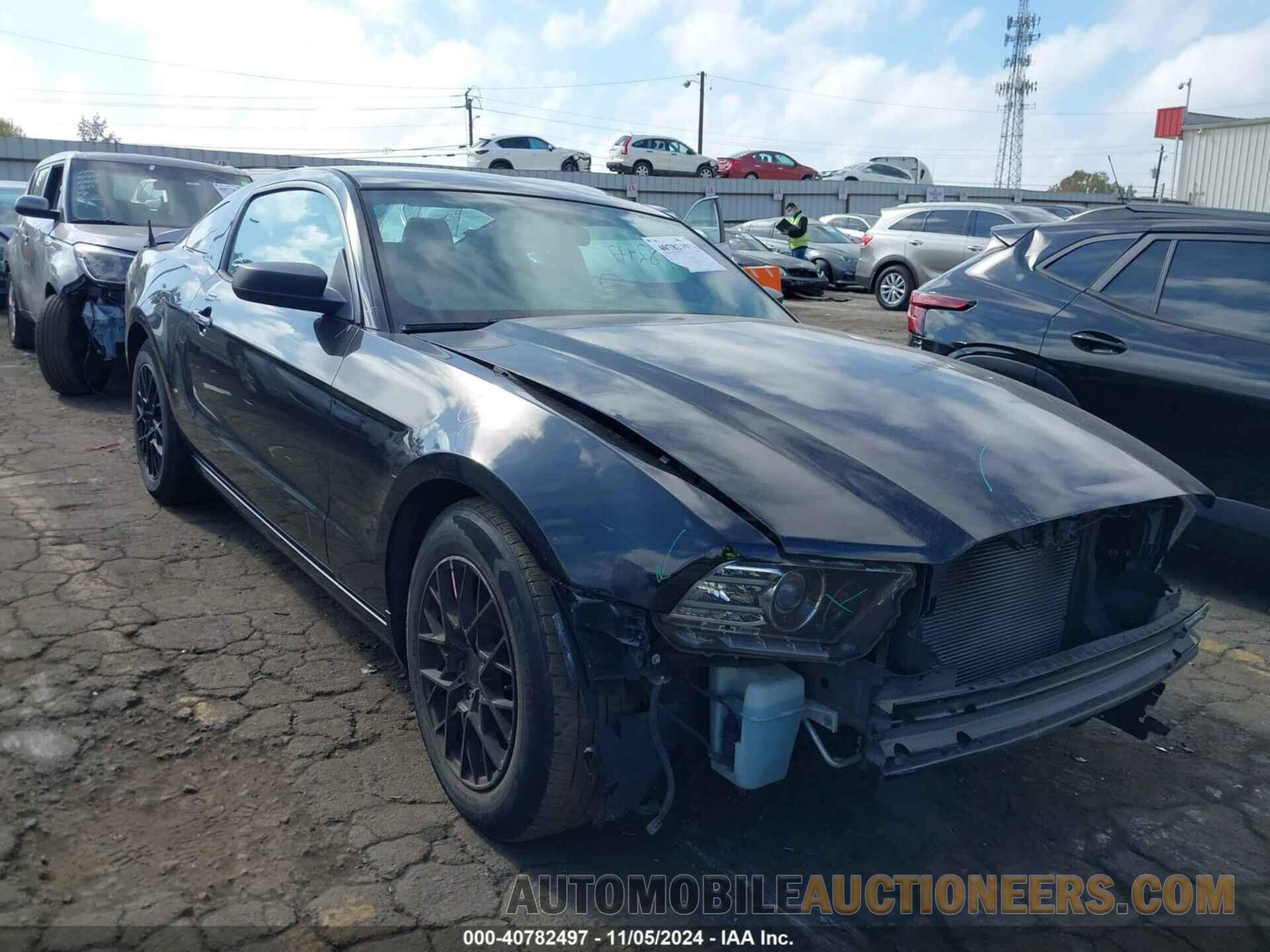 1ZVBP8AM6E5306471 FORD MUSTANG 2014