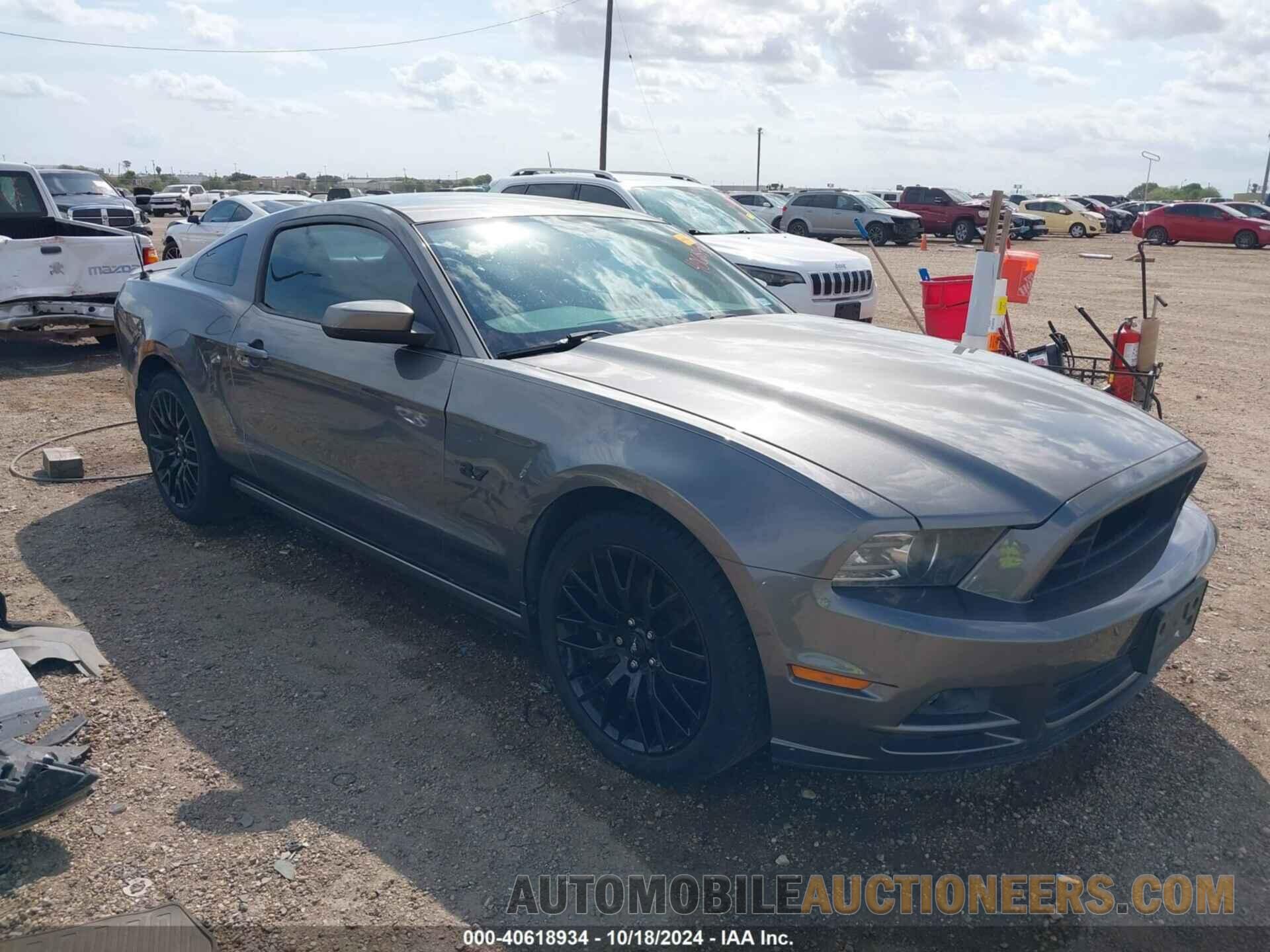 1ZVBP8AM7D5254900 FORD MUSTANG 2013