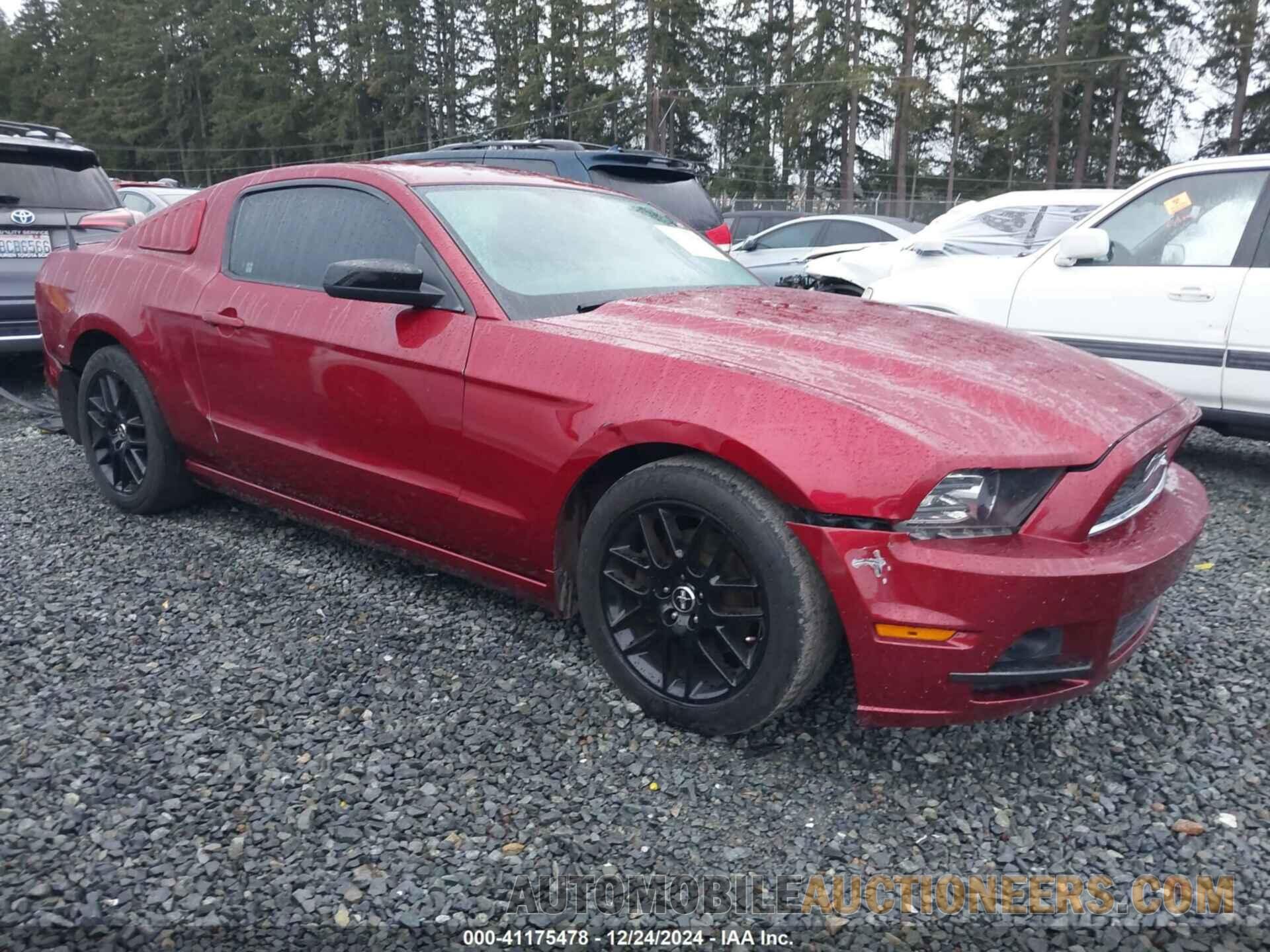 1ZVBP8AM7E5269821 FORD MUSTANG 2014