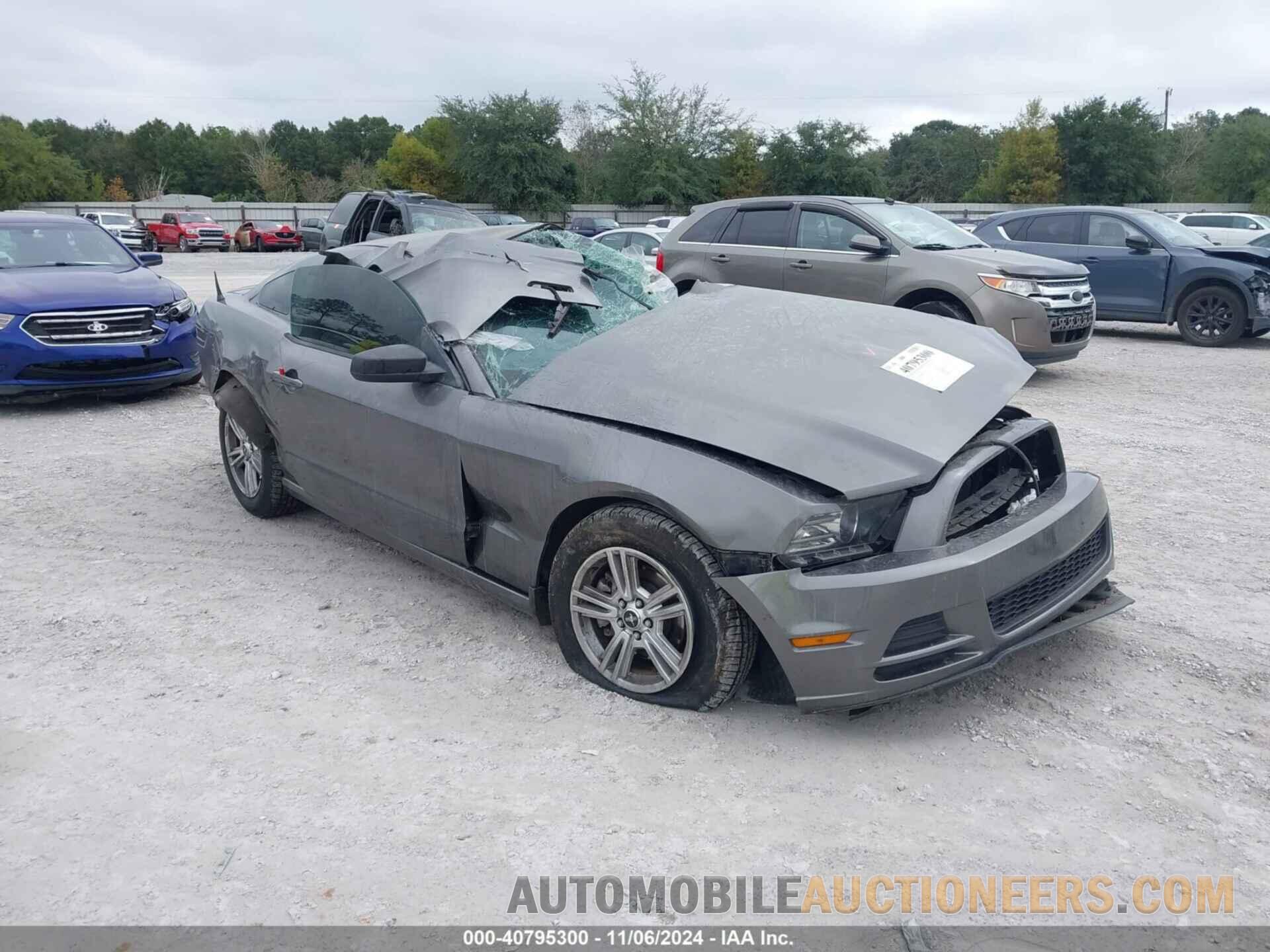 1ZVBP8AMXE5313116 FORD MUSTANG 2014