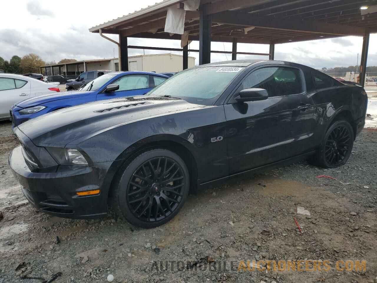 1ZVBP8CF2E5282555 FORD MUSTANG 2014