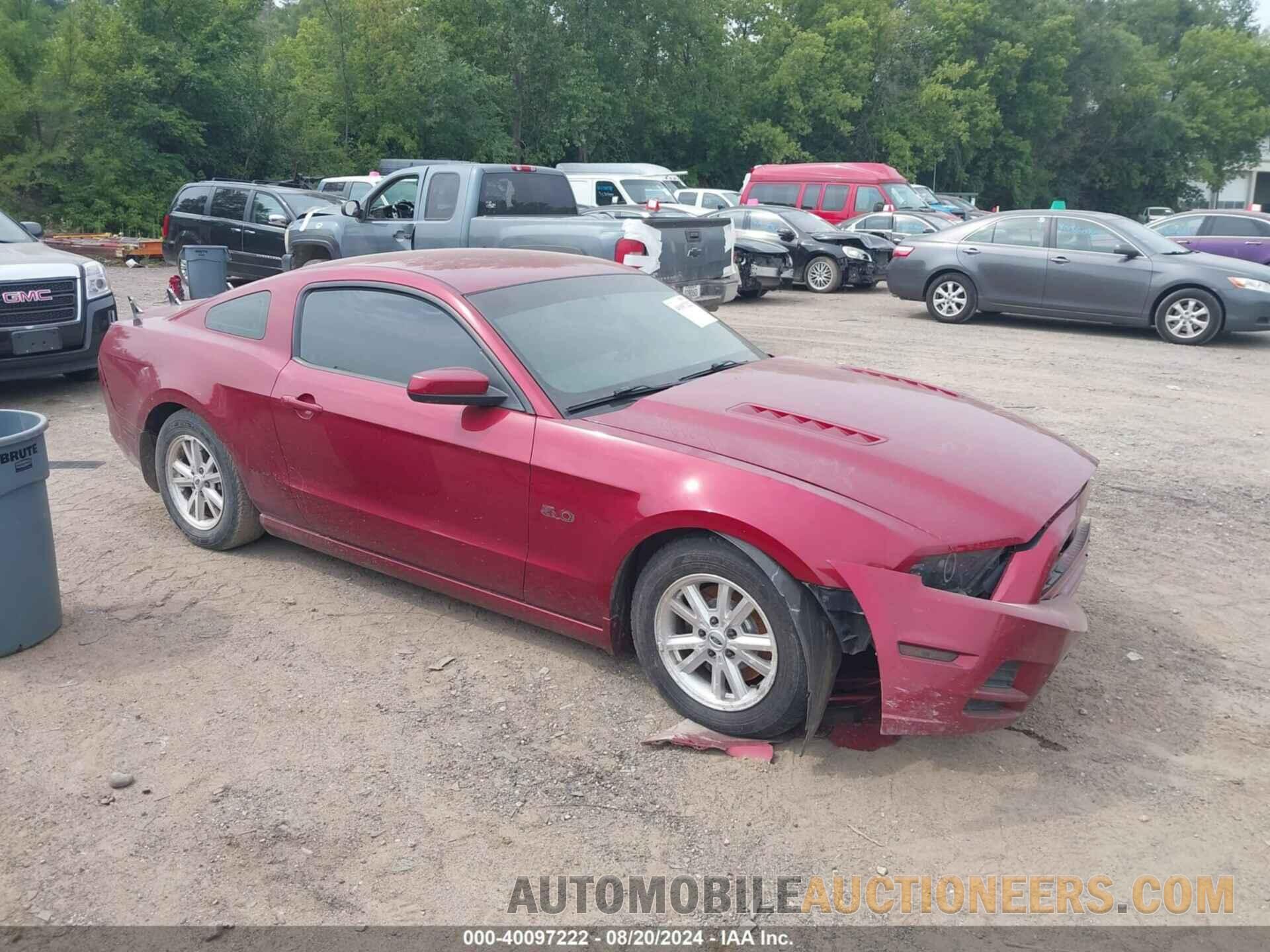 1ZVBP8CF9E5243431 FORD MUSTANG 2014