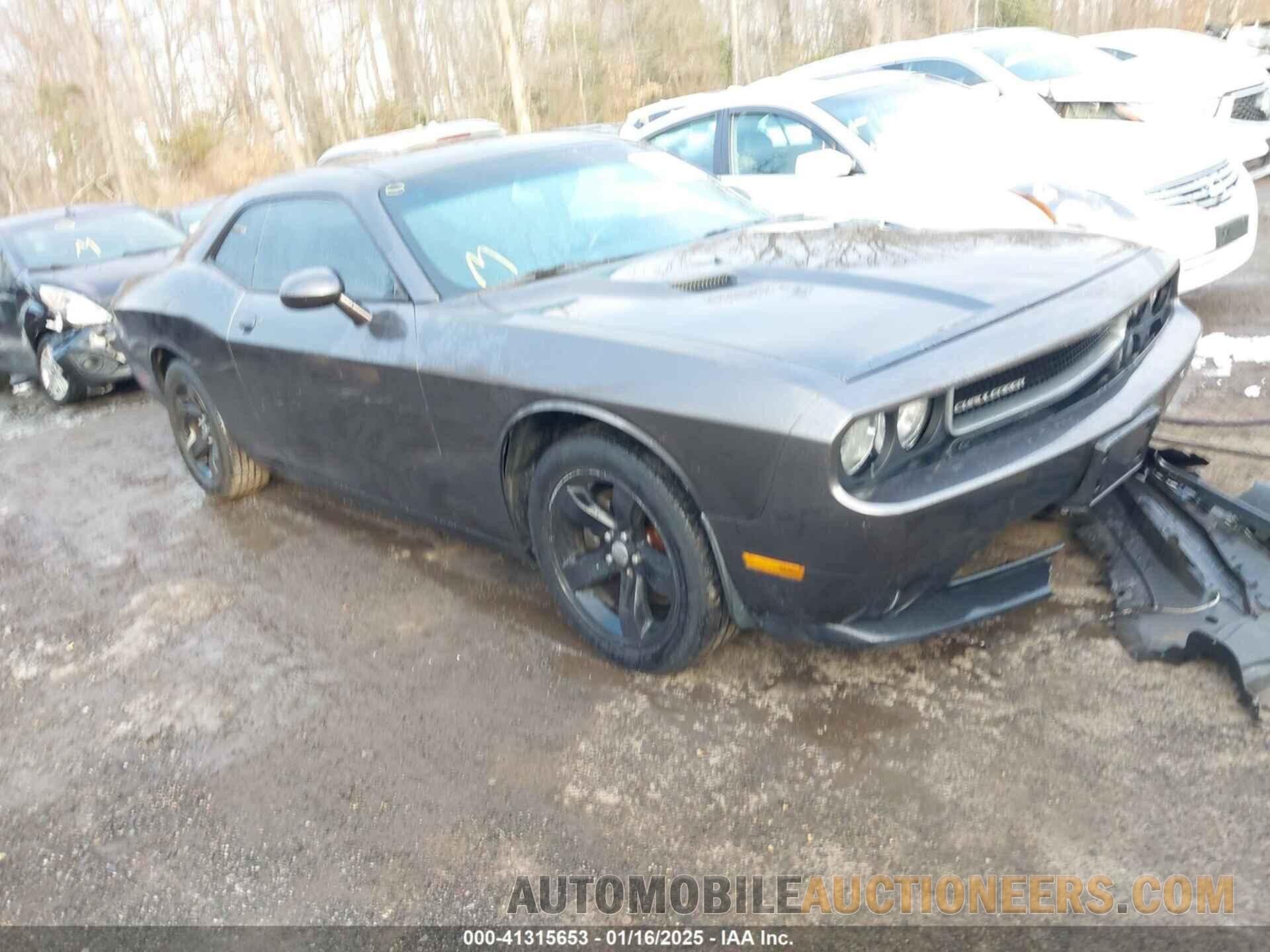 2C3CDYAG2DH596360 DODGE CHALLENGER 2013