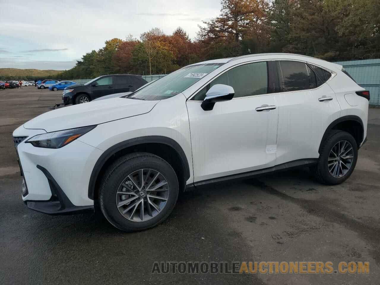 2T2AGCEZ6RC034080 LEXUS NX 350 BAS 2024