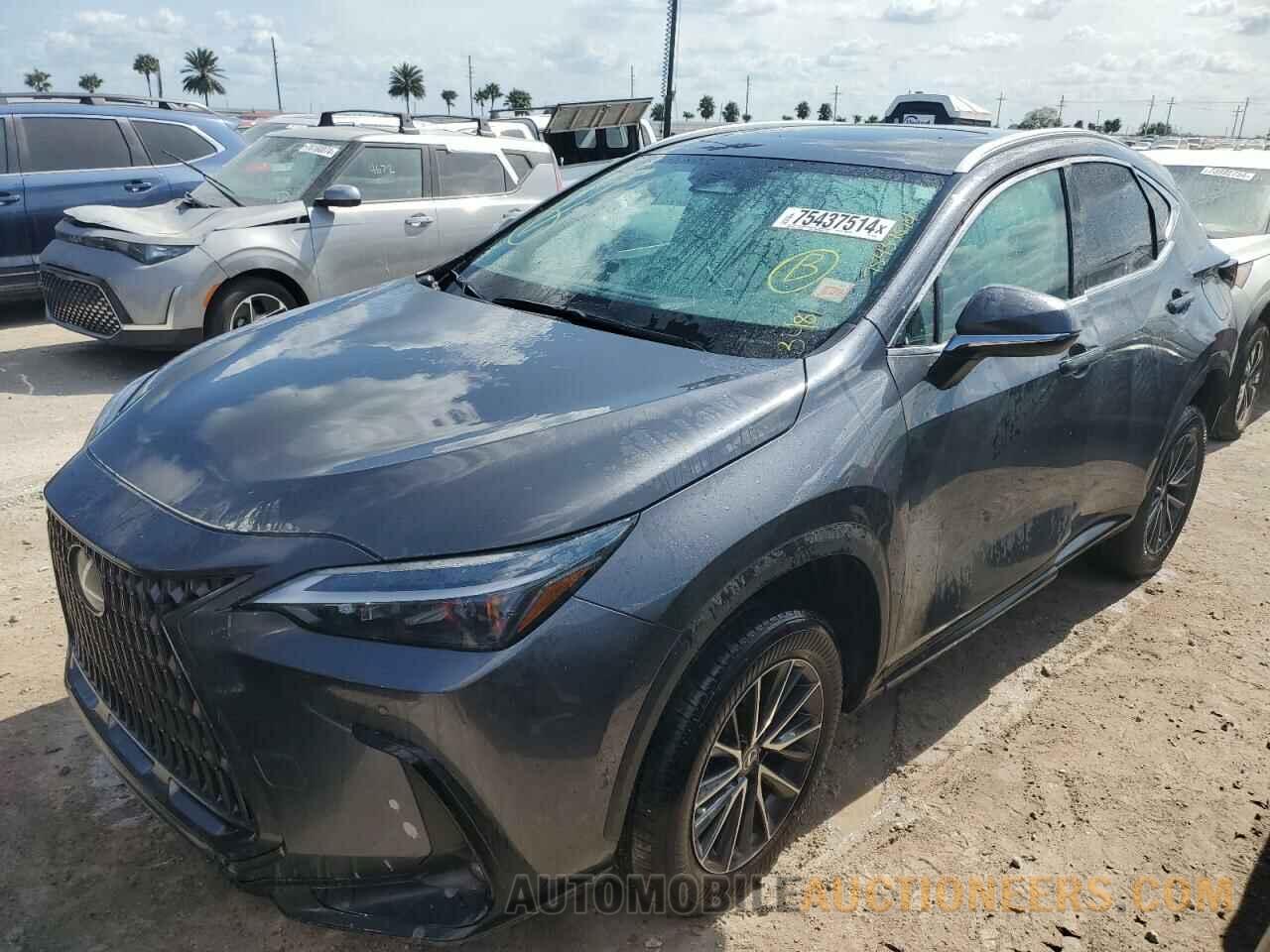 2T2GDCAZ2RC007063 LEXUS NX 250 PRE 2024