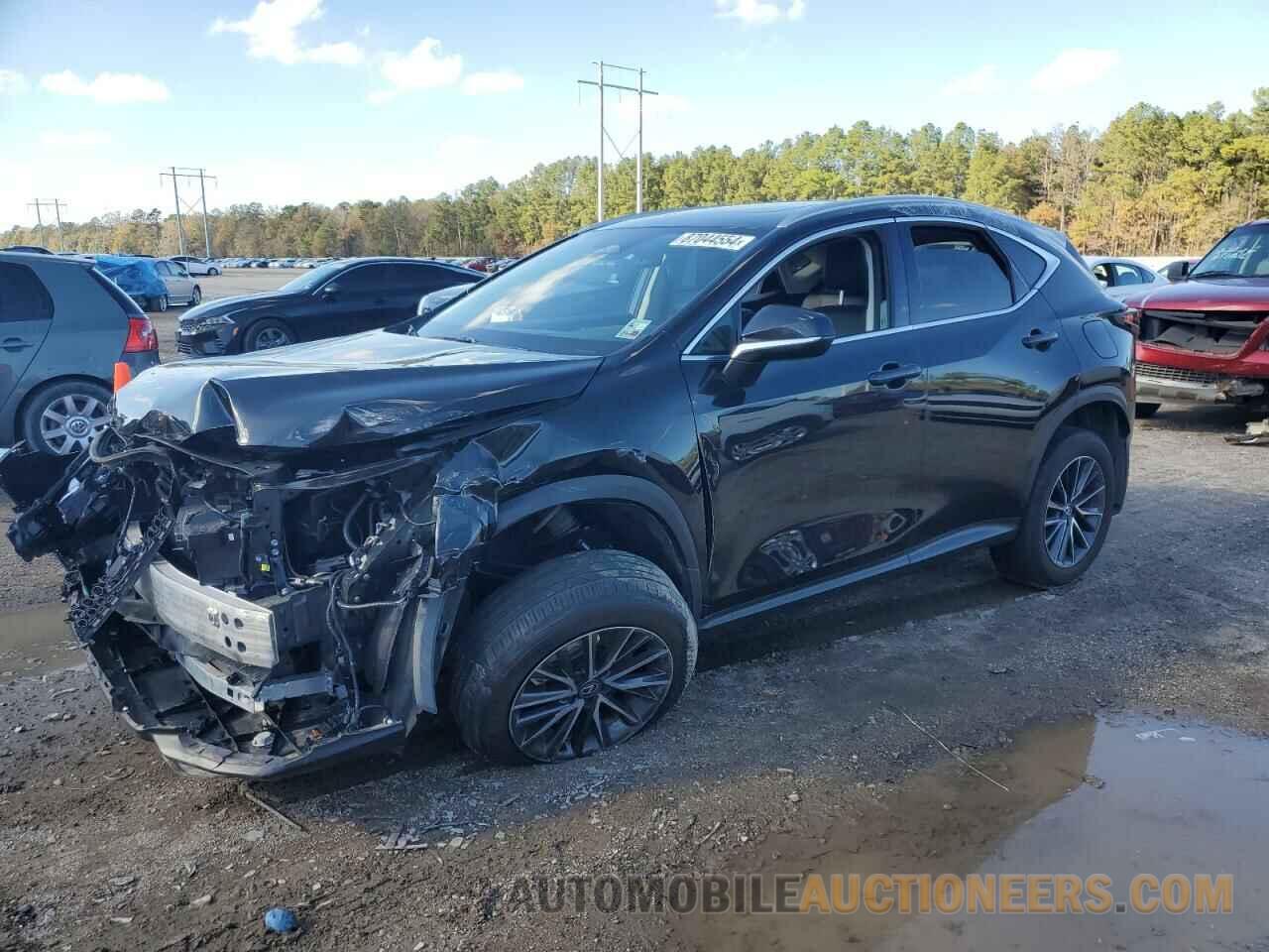 2T2GDCAZ8RC014499 LEXUS NX 250 PRE 2024