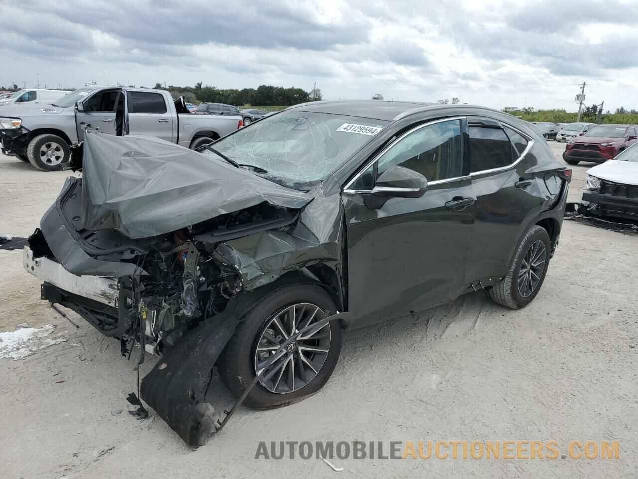 2T2GDCAZ9RC006783 LEXUS NX 250 PRE 2024