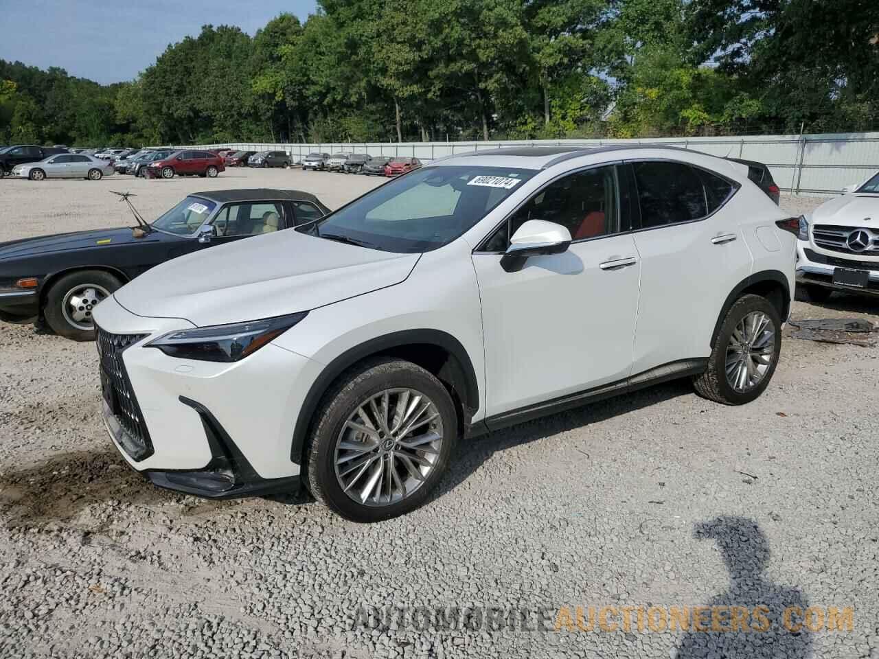 2T2HGCEZ0RC032775 LEXUS NX 350 LUX 2024