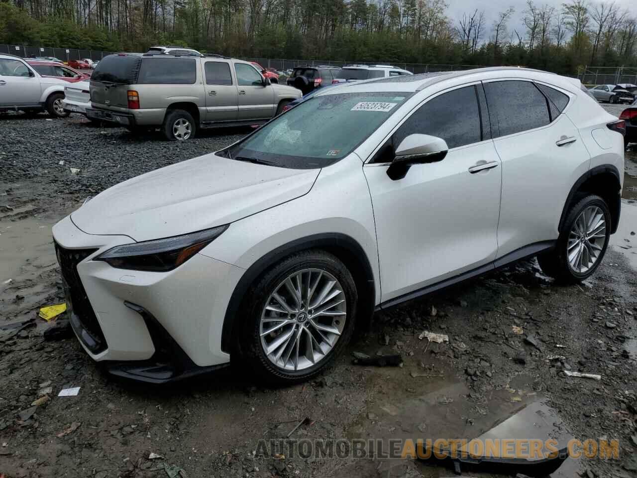 2T2HGCEZ3RC035721 LEXUS NX 350 LUX 2024