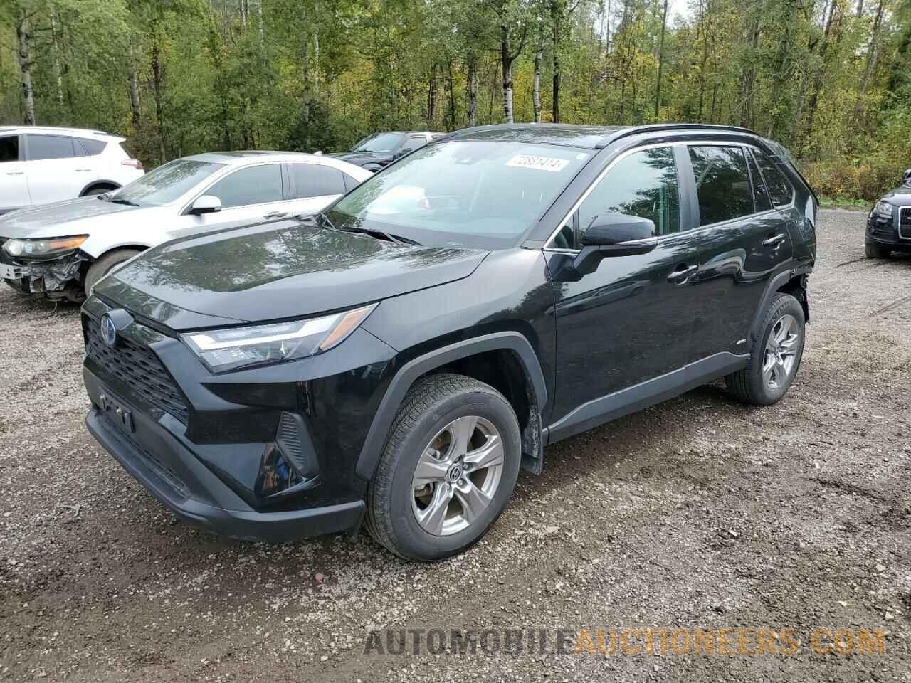 2T3RWRFV3PW160943 TOYOTA RAV4 2023