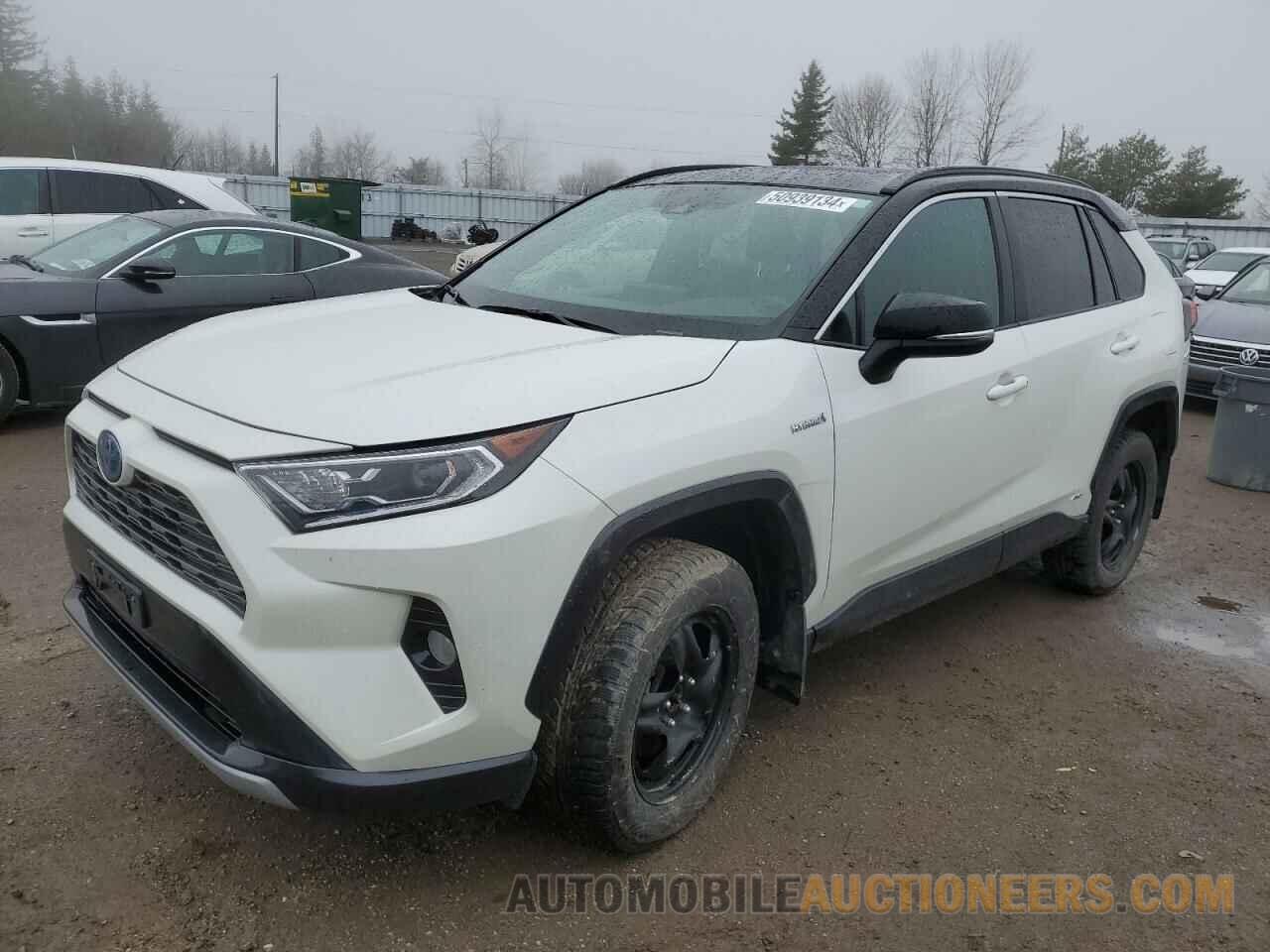 2T3RWRFV7KW004736 TOYOTA RAV4 2019