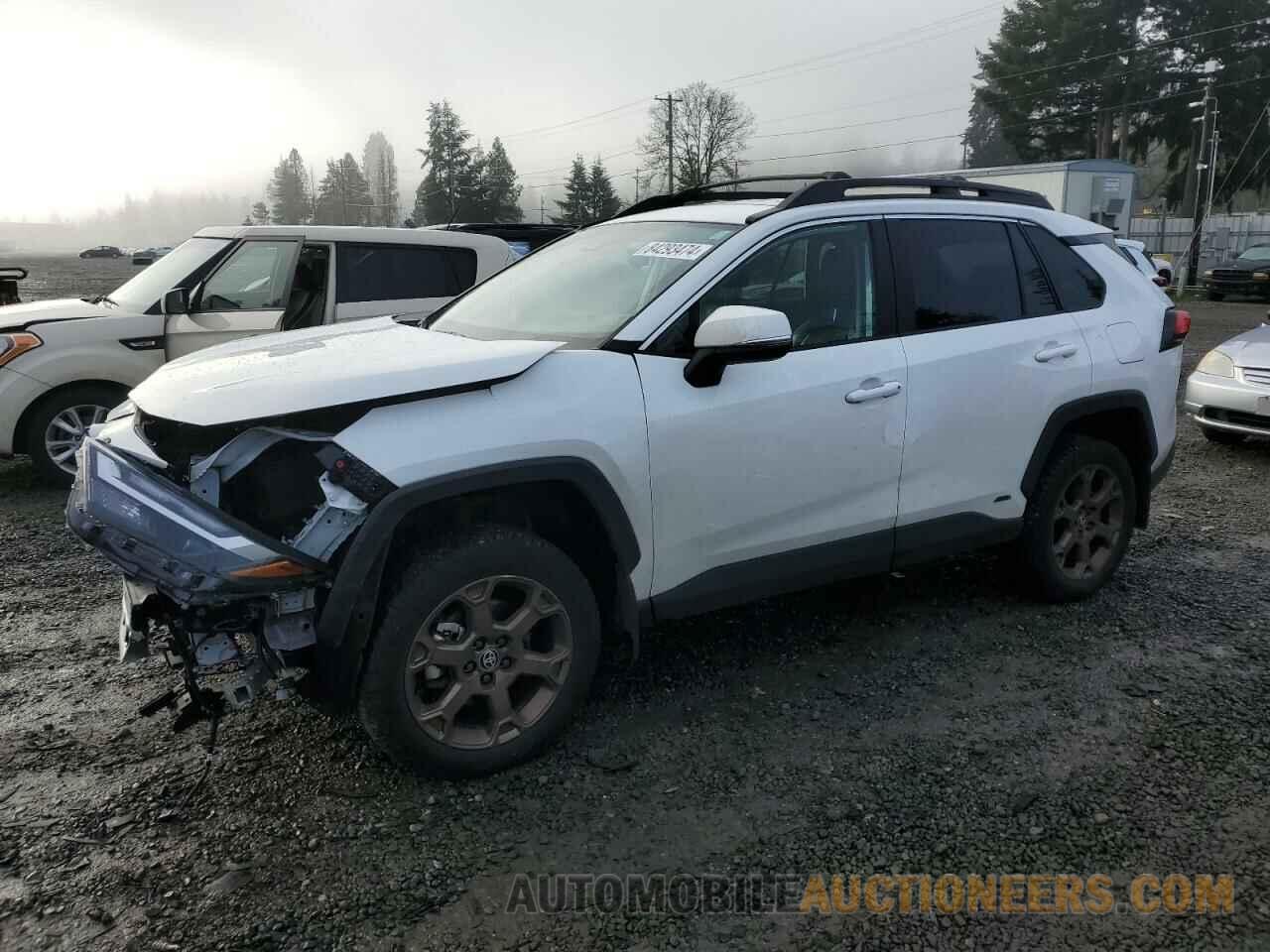 2T3UWRFV6PW166973 TOYOTA RAV4 WOODL 2023