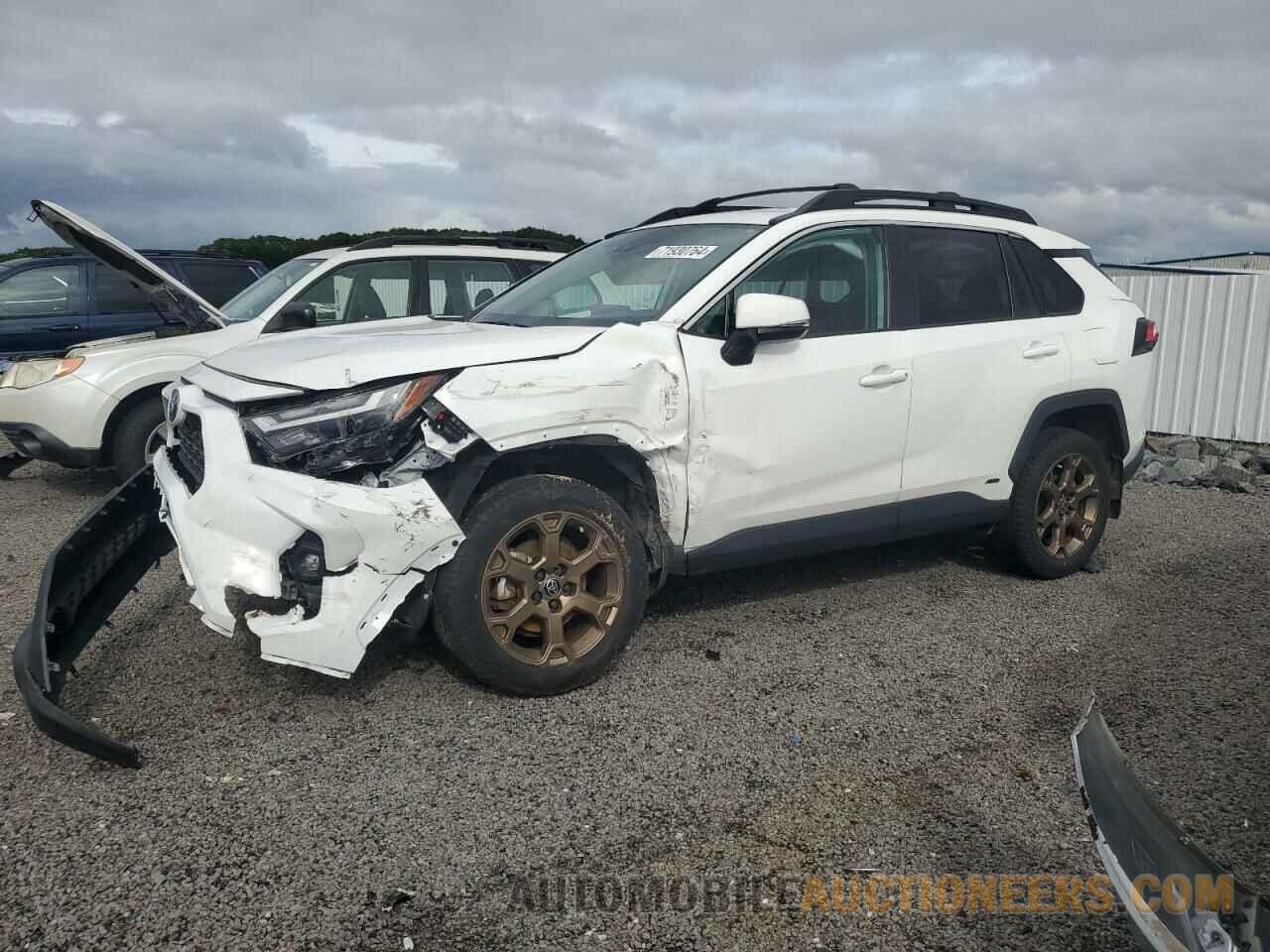 2T3UWRFV8PW158518 TOYOTA RAV4 WOODL 2023