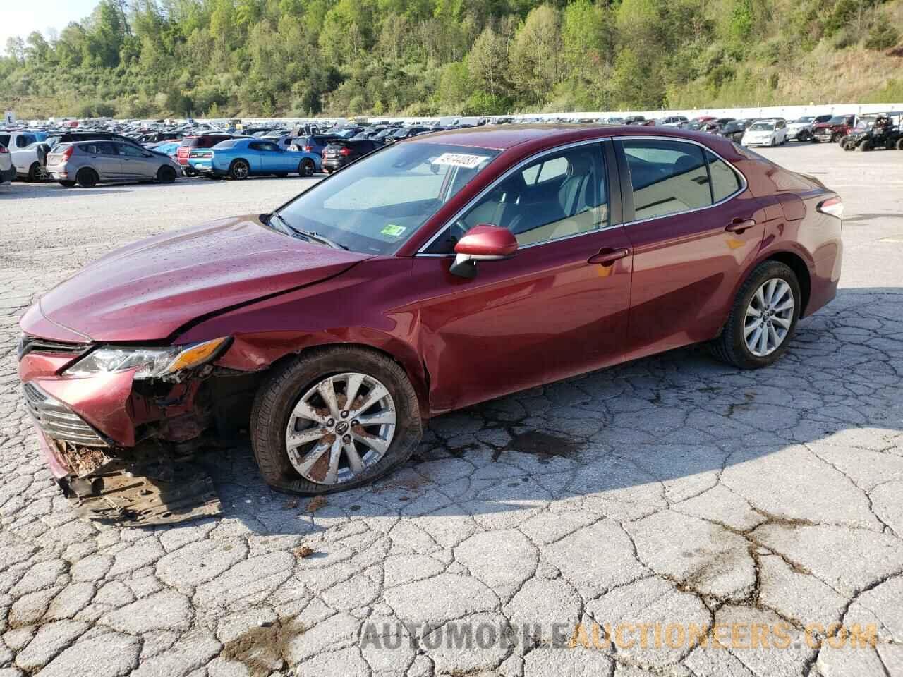 4T1B11HK4KU694894 TOYOTA CAMRY 2019