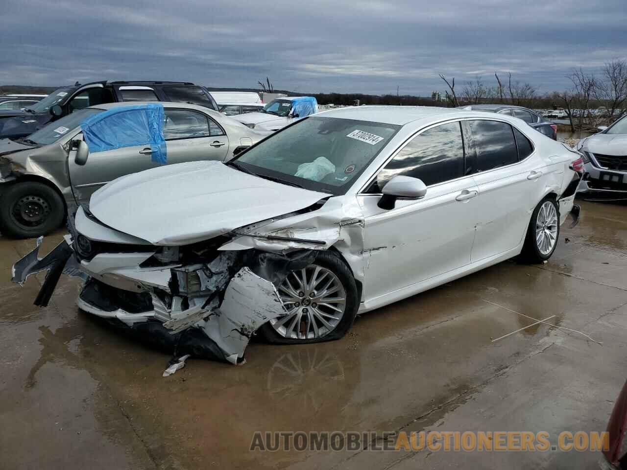 4T1B21HK1KU521346 TOYOTA CAMRY 2019