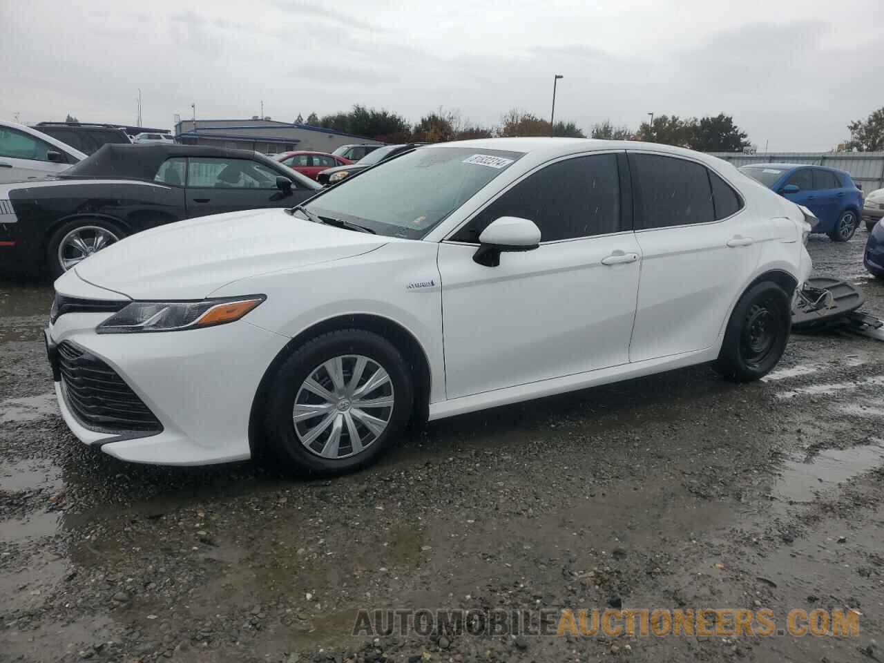 4T1B31HK5KU517698 TOYOTA CAMRY 2019