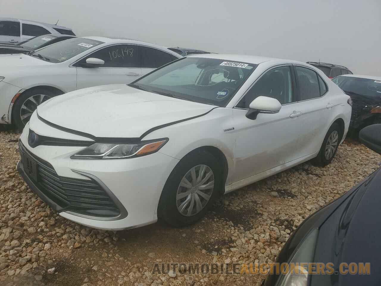 4T1C31AK0MU567748 TOYOTA CAMRY 2021