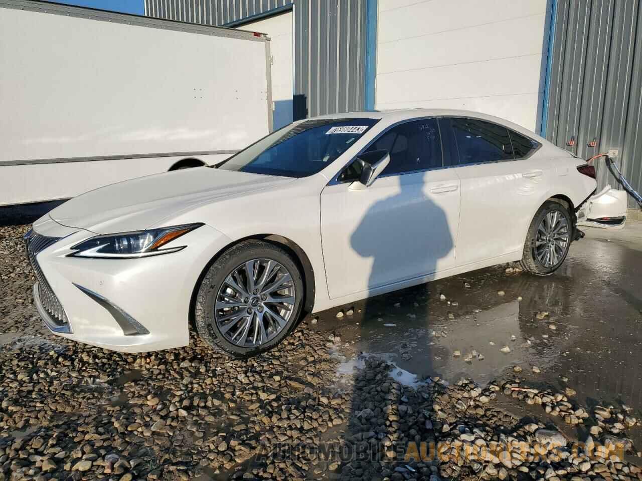 58AD11D19MU002954 LEXUS ES250 2021