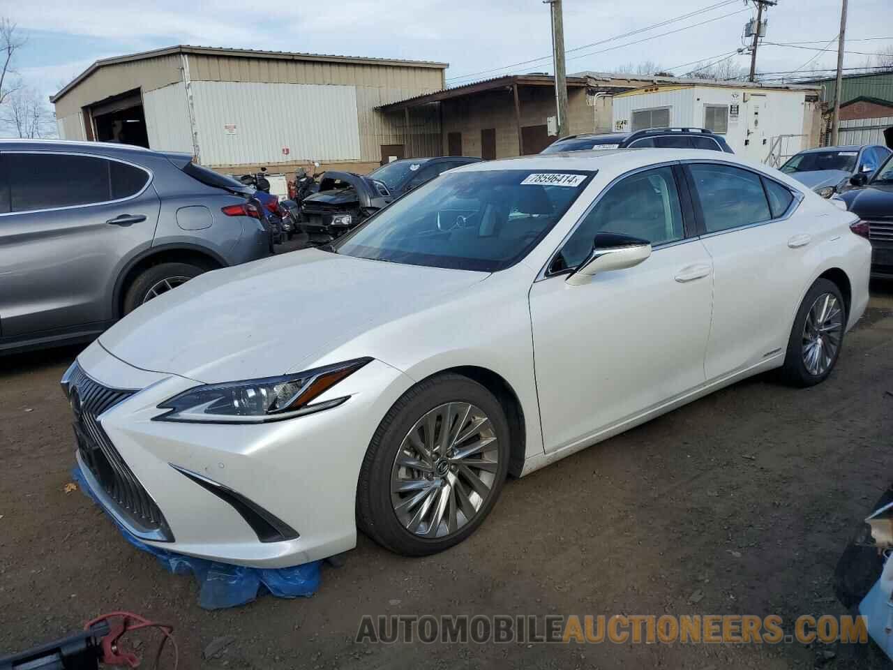 58AEA1C13MU010358 LEXUS ES300 2021