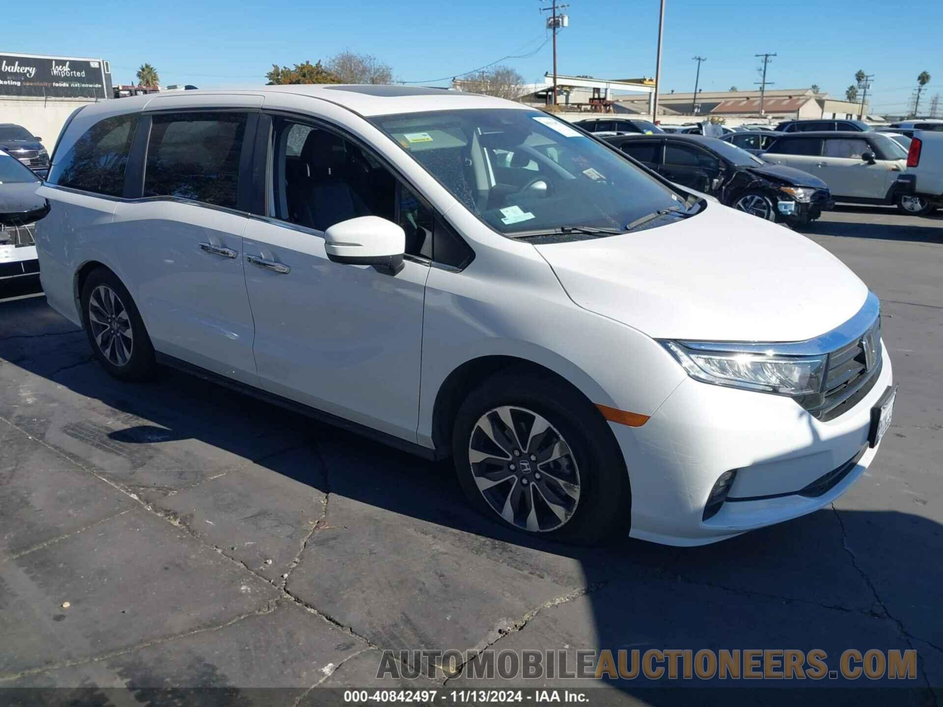 5FNRL6H66RB068117 HONDA ODYSSEY 2024