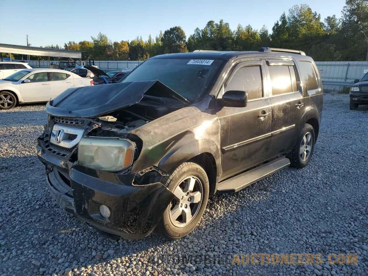 5FNYF3H56BB007901 HONDA PILOT 2011