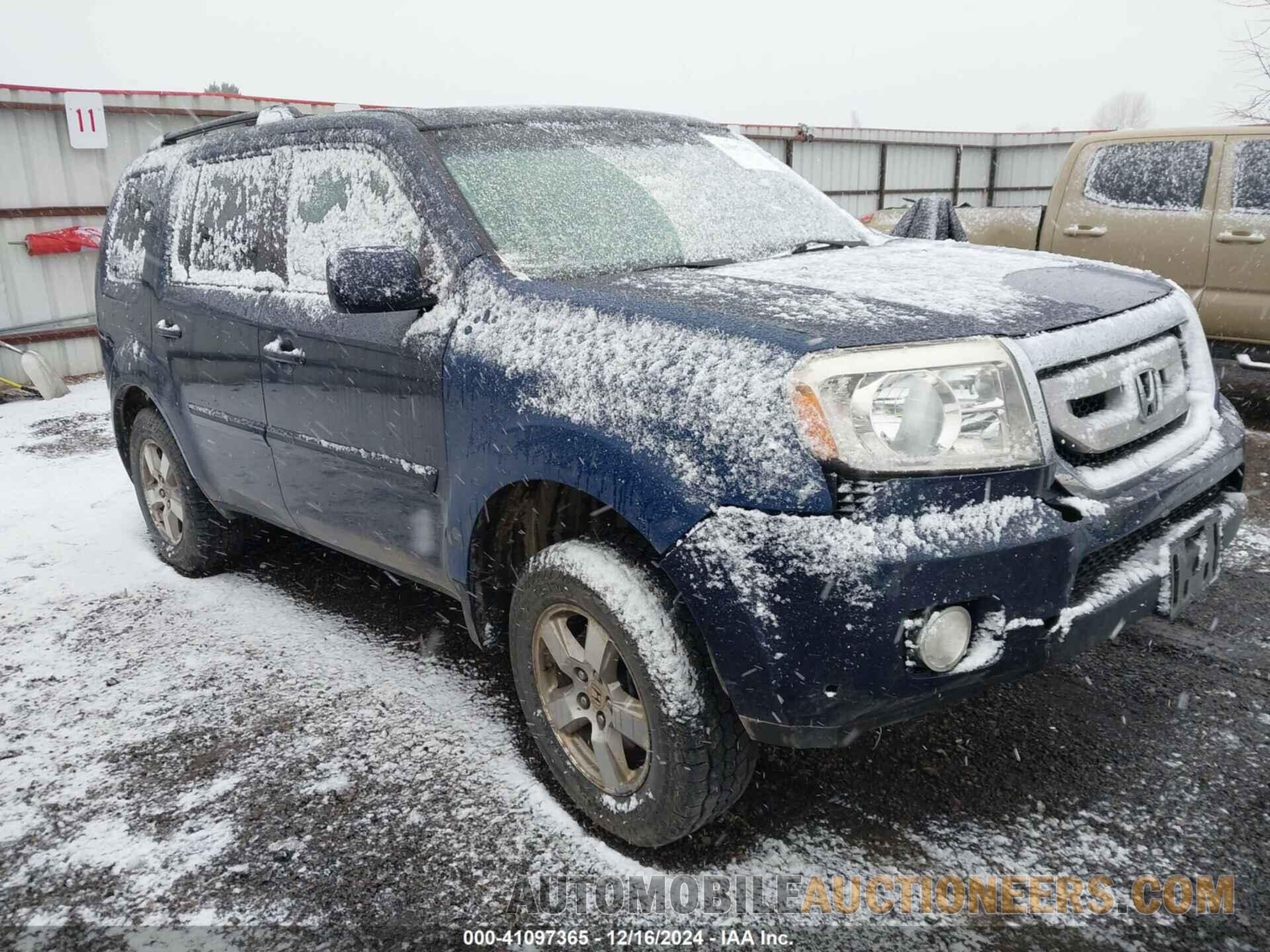 5FNYF4H52BB034681 HONDA PILOT 2011