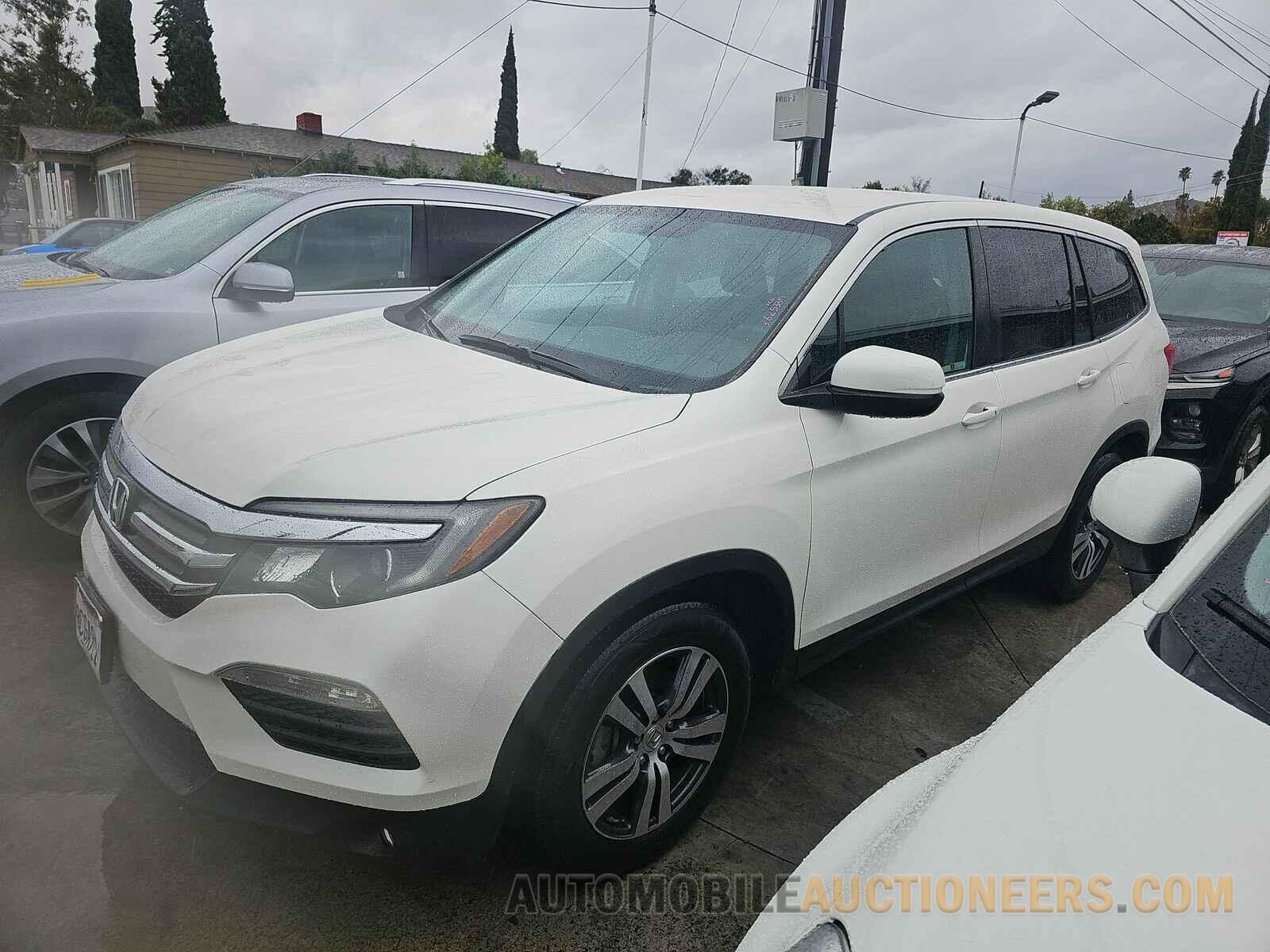 5FNYF5H31HB045135 Honda Pilot 2017