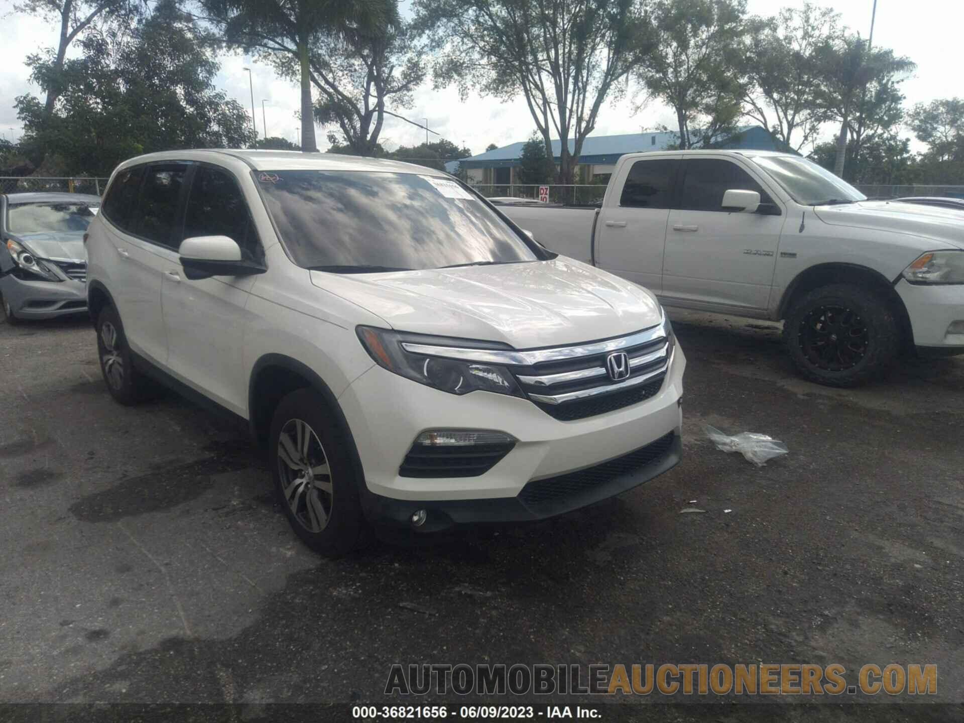 5FNYF5H31JB016871 HONDA PILOT 2018