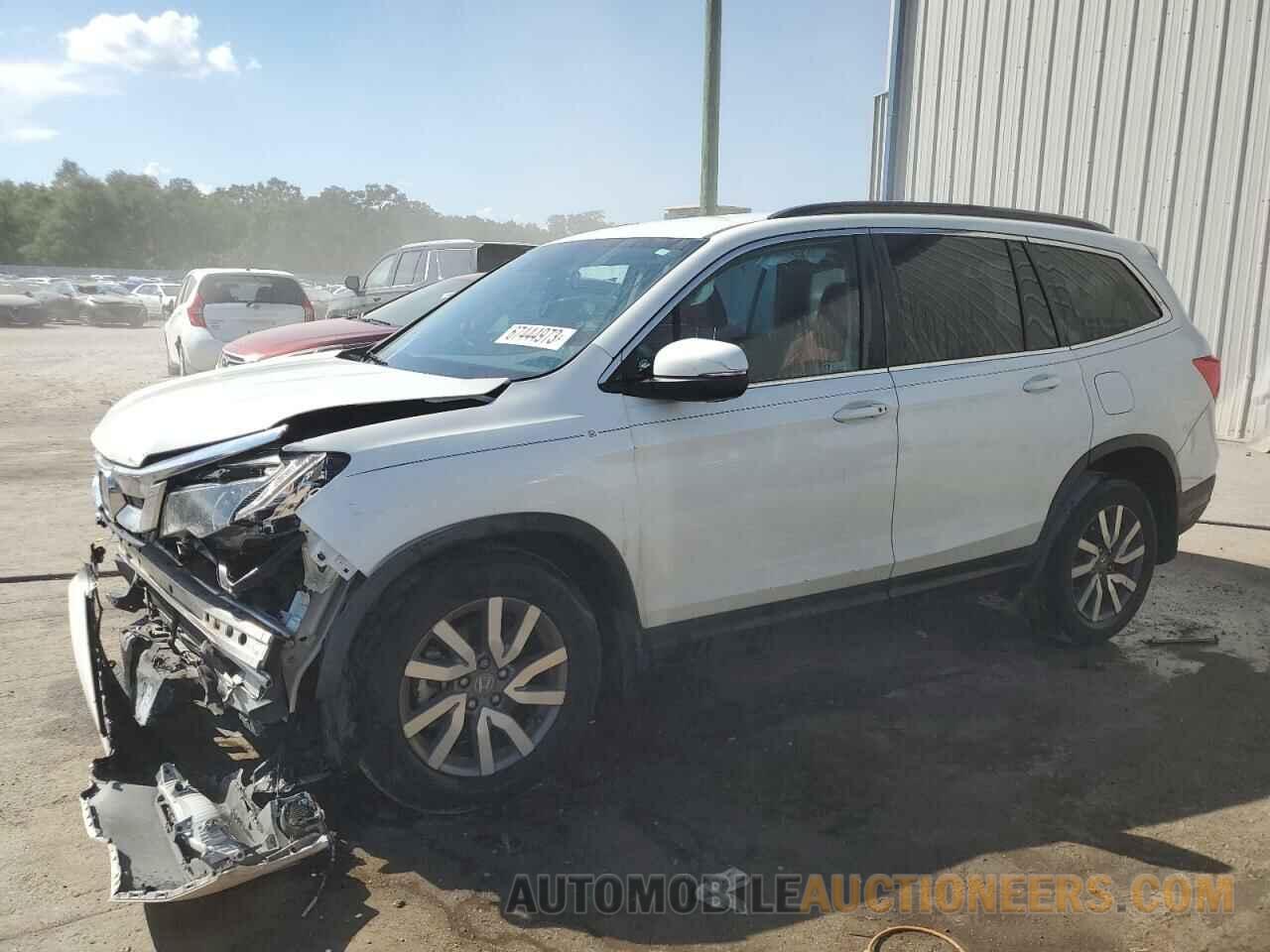 5FNYF5H31KB025555 HONDA PILOT 2019