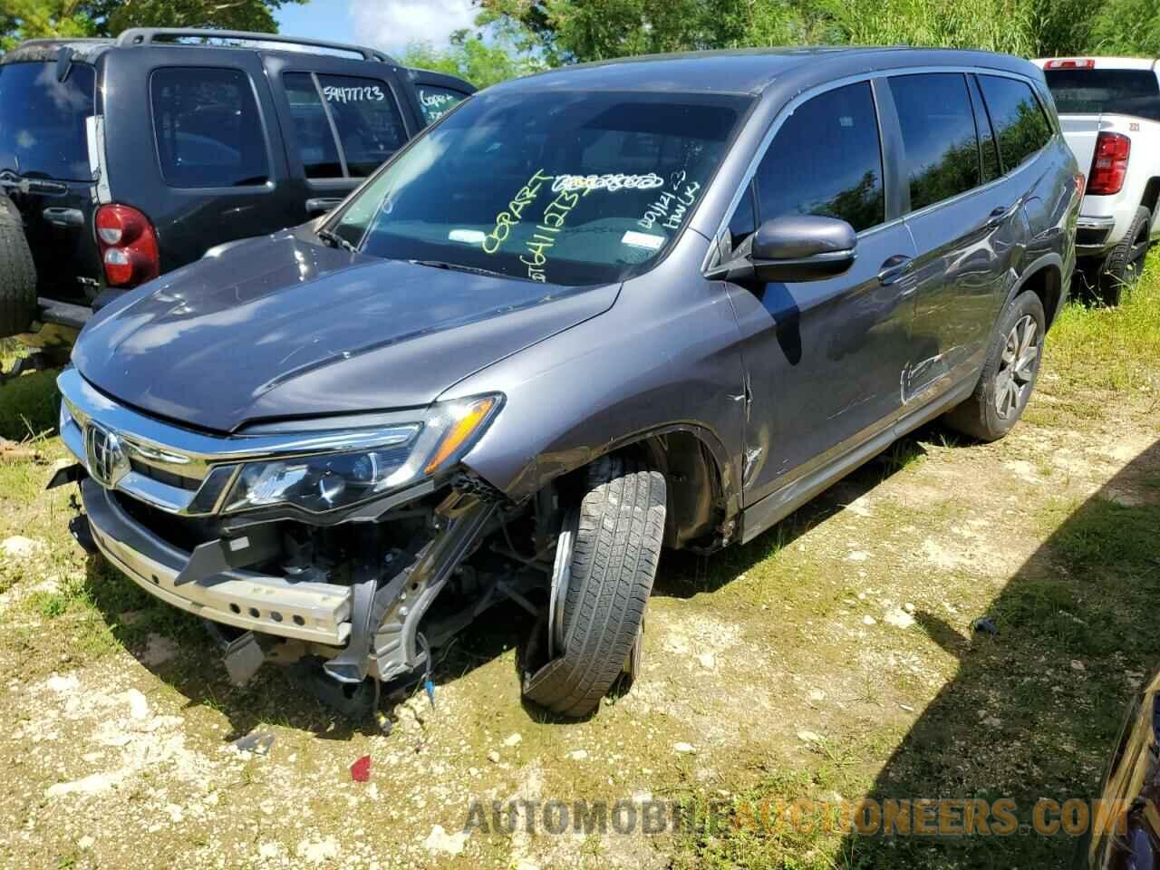 5FNYF5H36KB041153 HONDA PILOT 2019