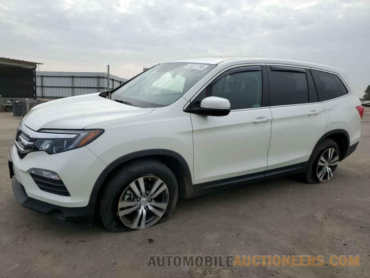 5FNYF5H41JB020010 HONDA PILOT 2018