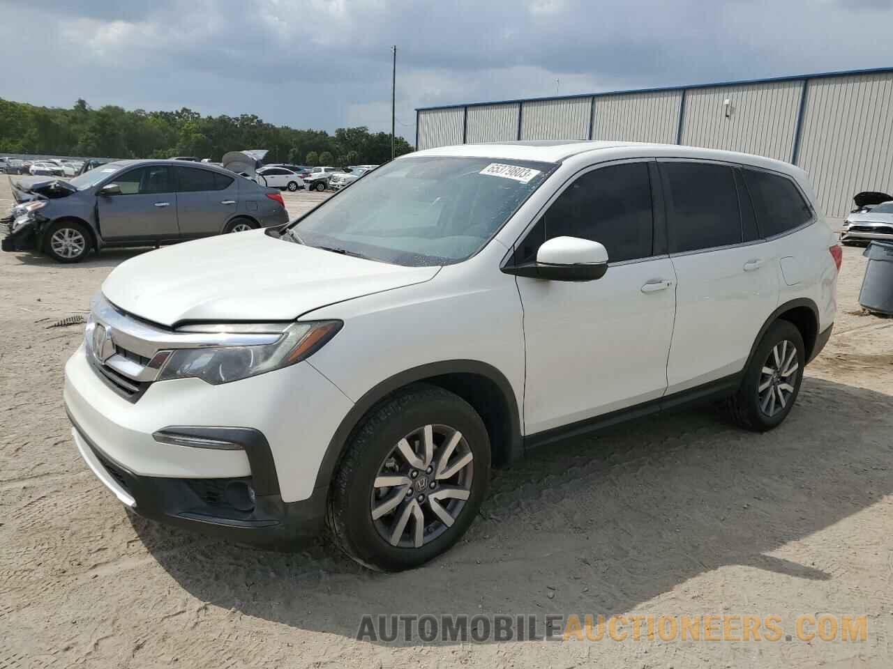 5FNYF5H46KB007805 HONDA PILOT 2019