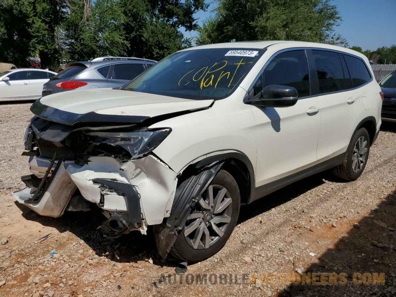 5FNYF5H50KB025967 HONDA PILOT 2019