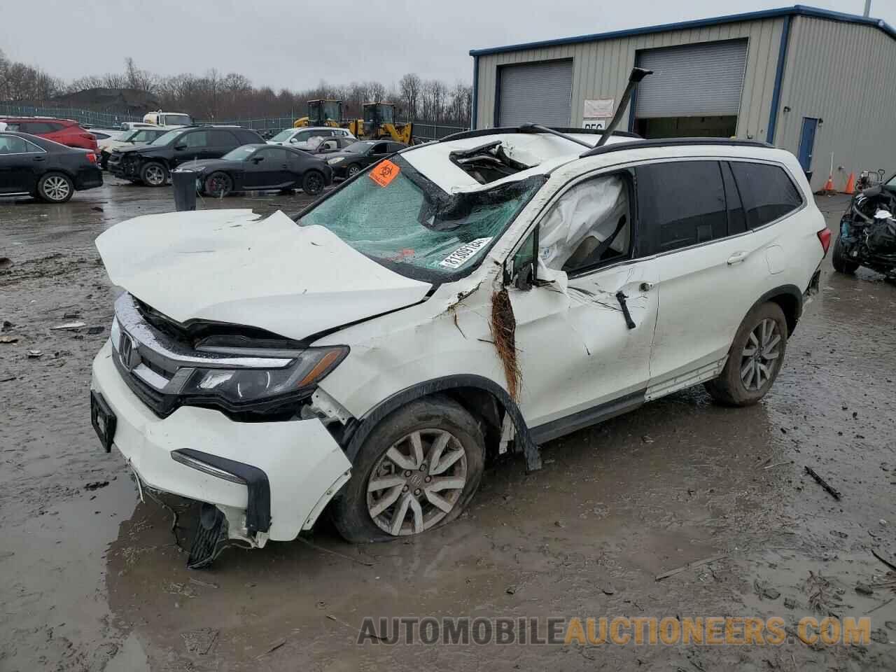 5FNYF5H50KB036628 HONDA PILOT 2019