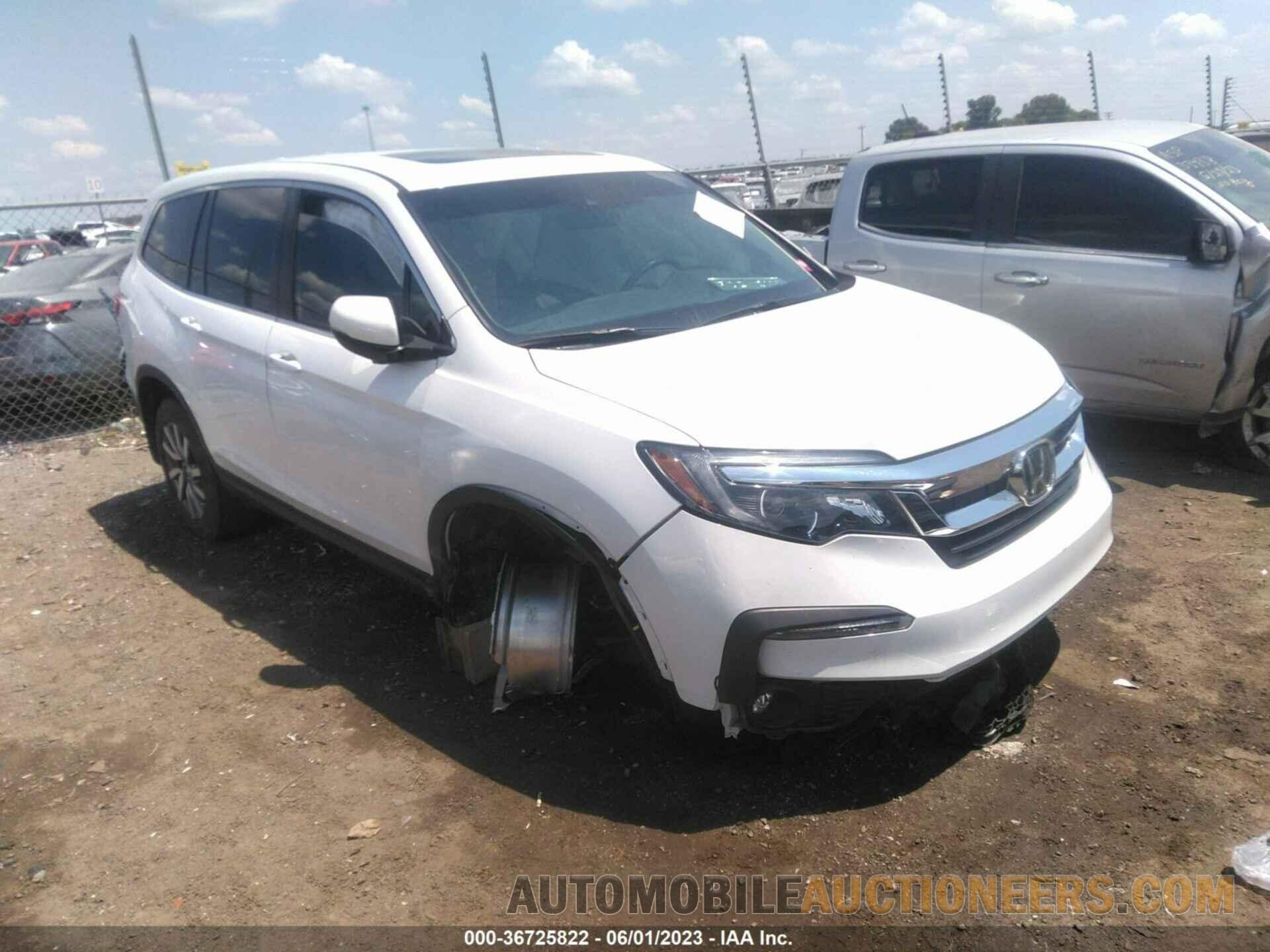 5FNYF5H51MB003320 HONDA PILOT 2021