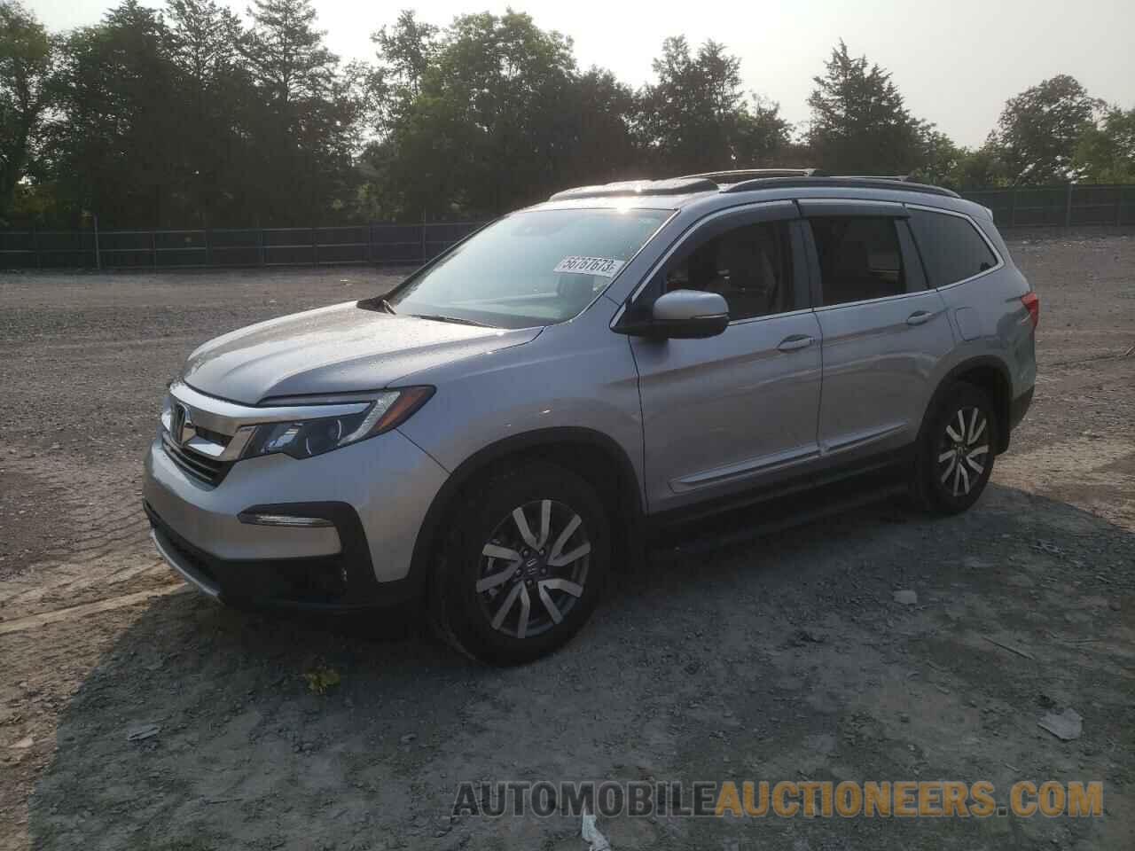 5FNYF5H51MB028136 HONDA PILOT 2021